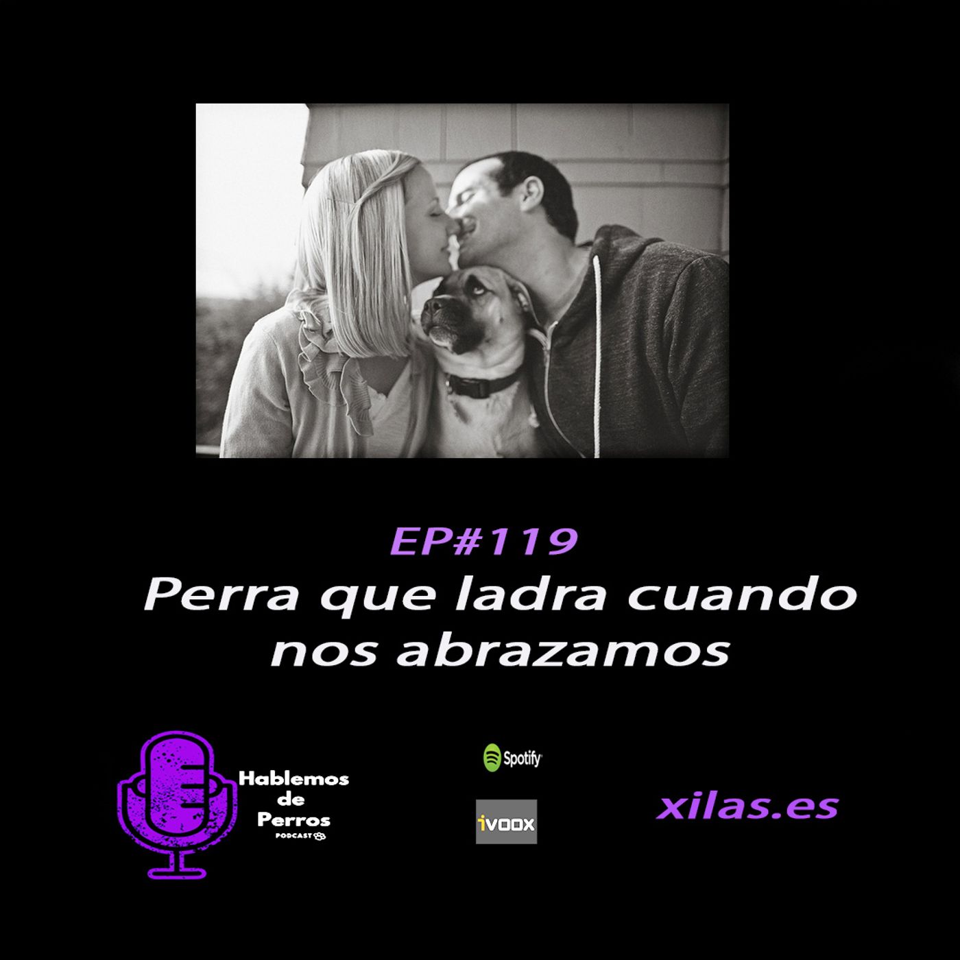 Hablemos de perros