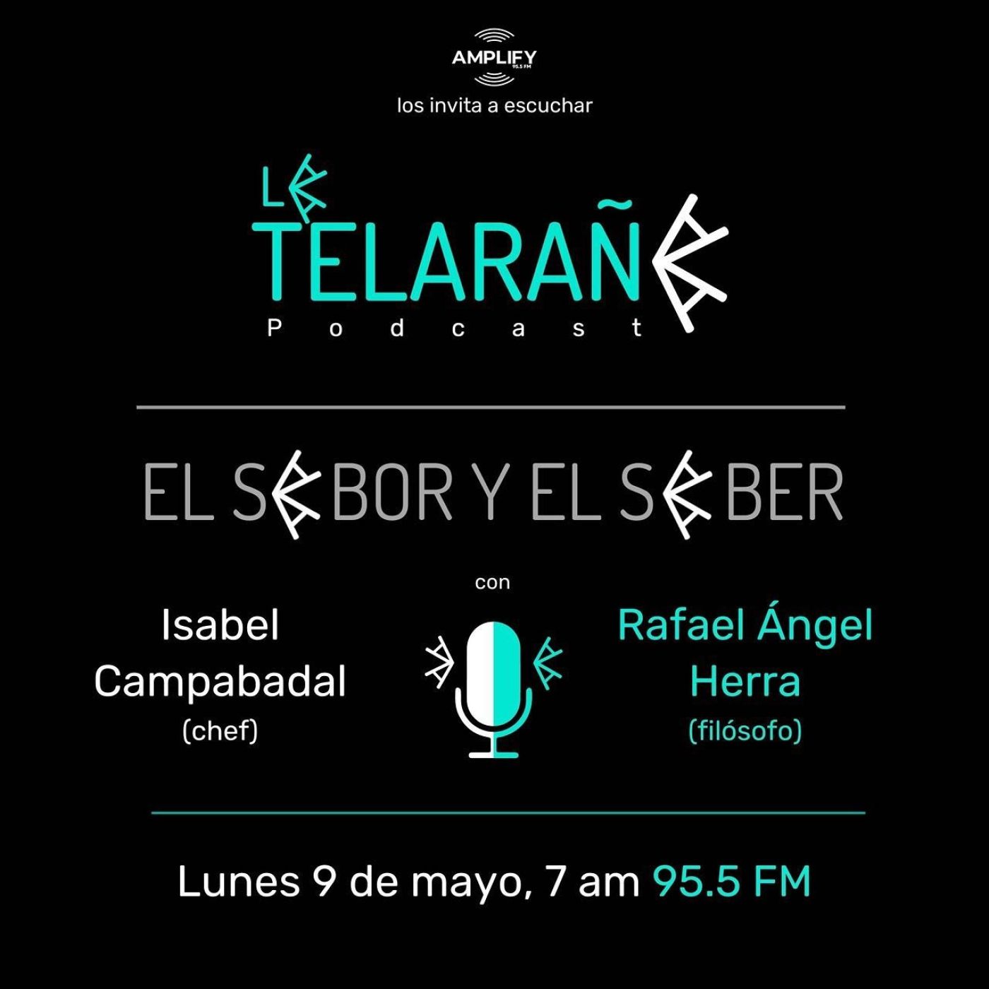 Portada de La Telaraña