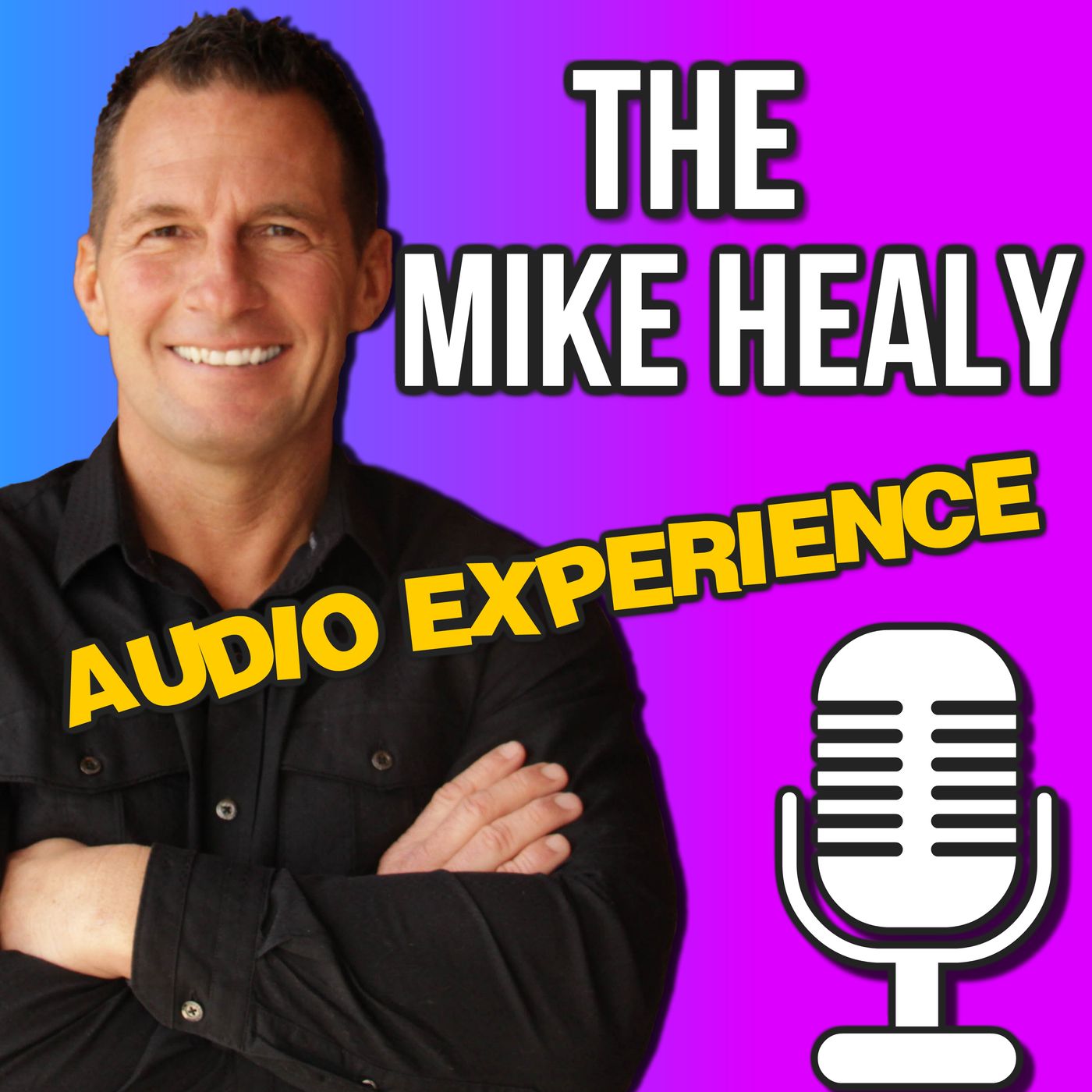Mike Healy Audio Experience