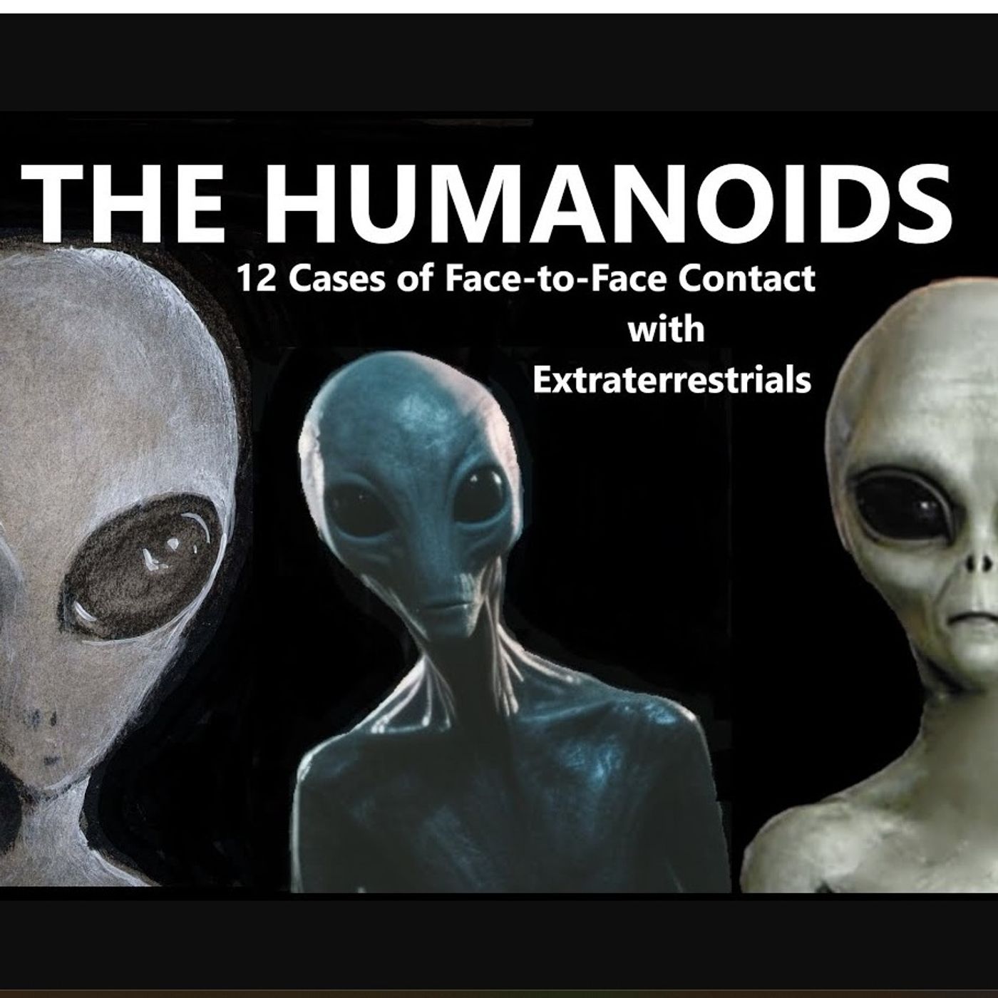 The Humanoids: Twelve Cases of Face-to-Face Contact with Extraterrestrials