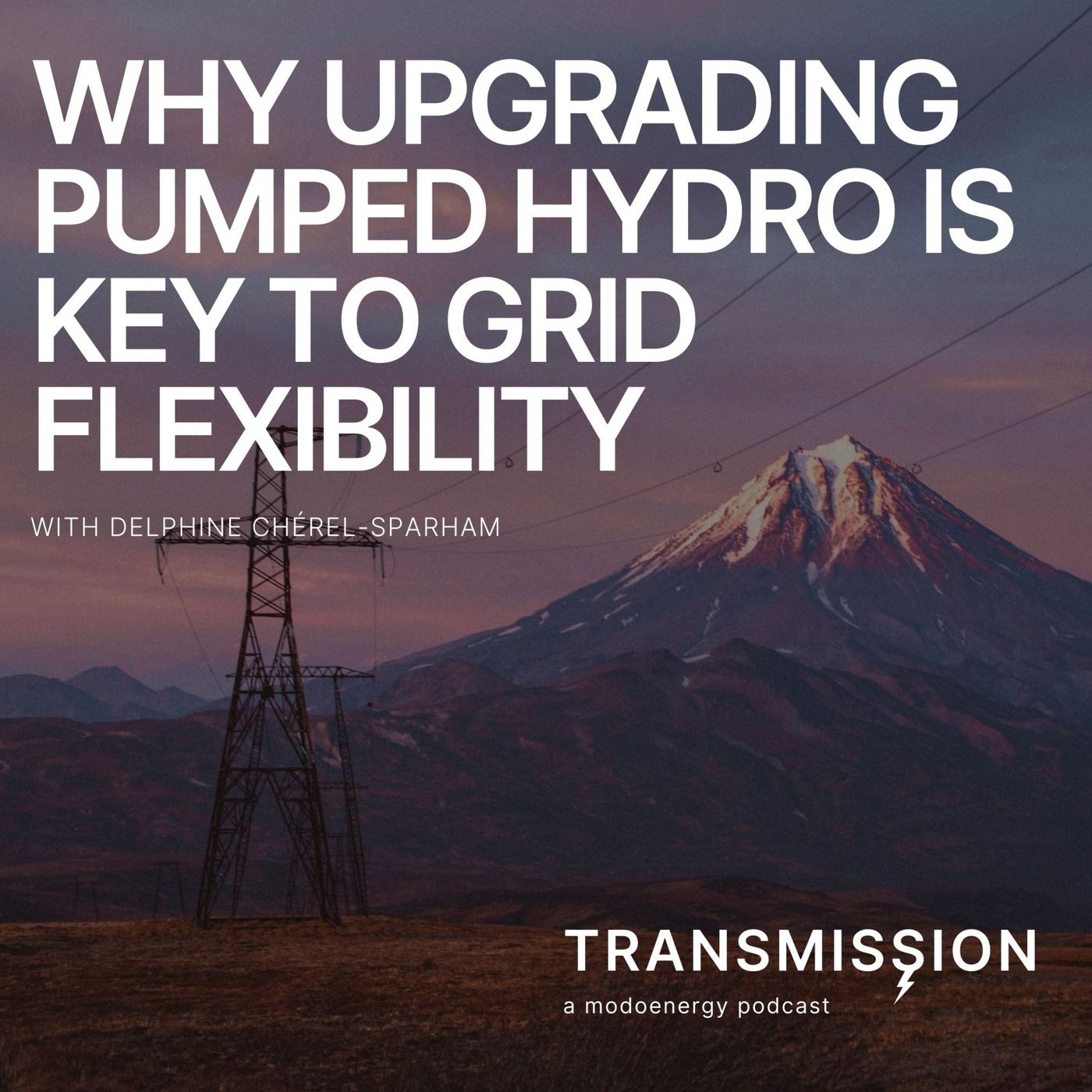 Why Upgrading Pumped Hydro Is Key to Grid Flexibility with Delphine Chérel-Sparham