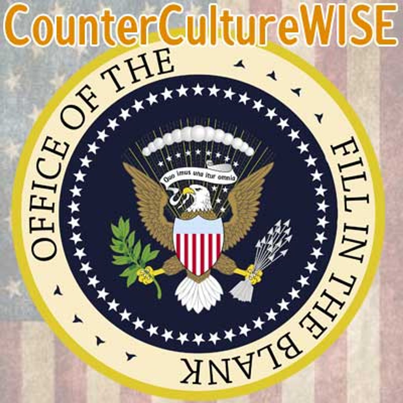 CounterCultureWISE