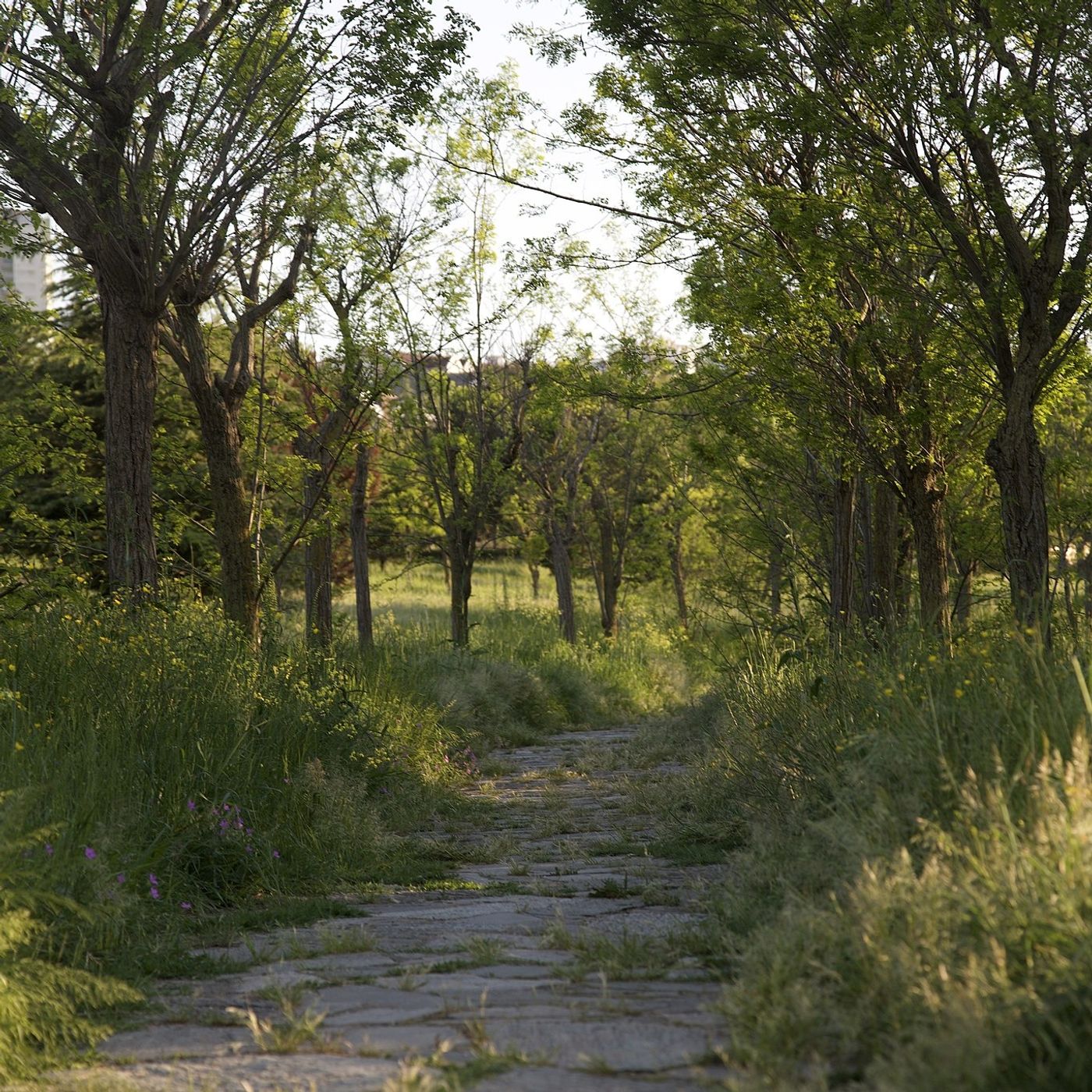 “Lessons from the 19th Degree: Work, Wait, and Be Patient: Leave the Rest to History and Fate”