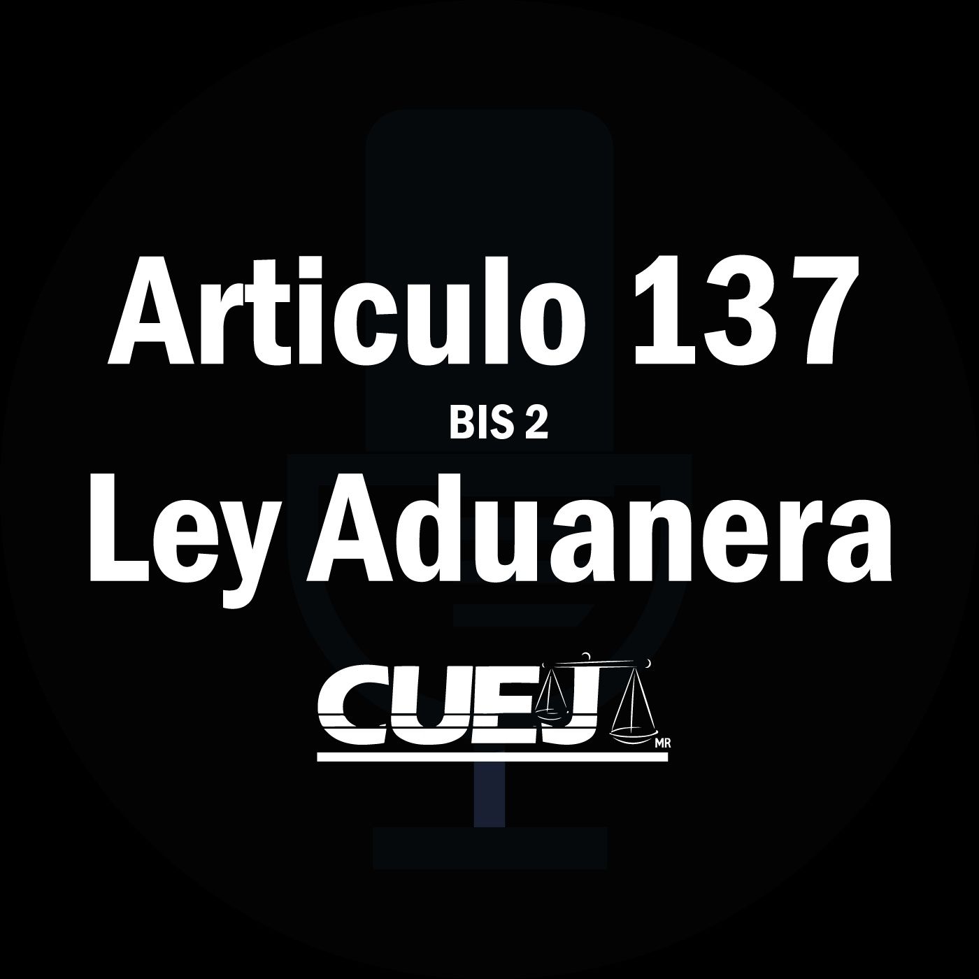 Audio Ley Aduanera