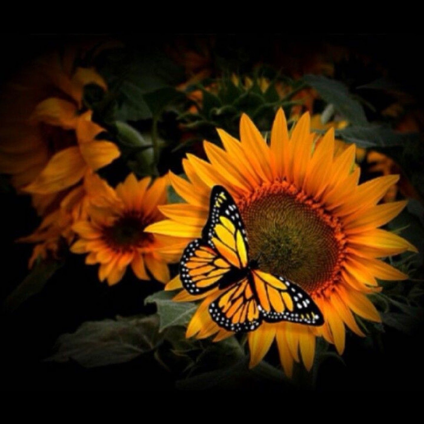 El podcast de Kenia Sanchez