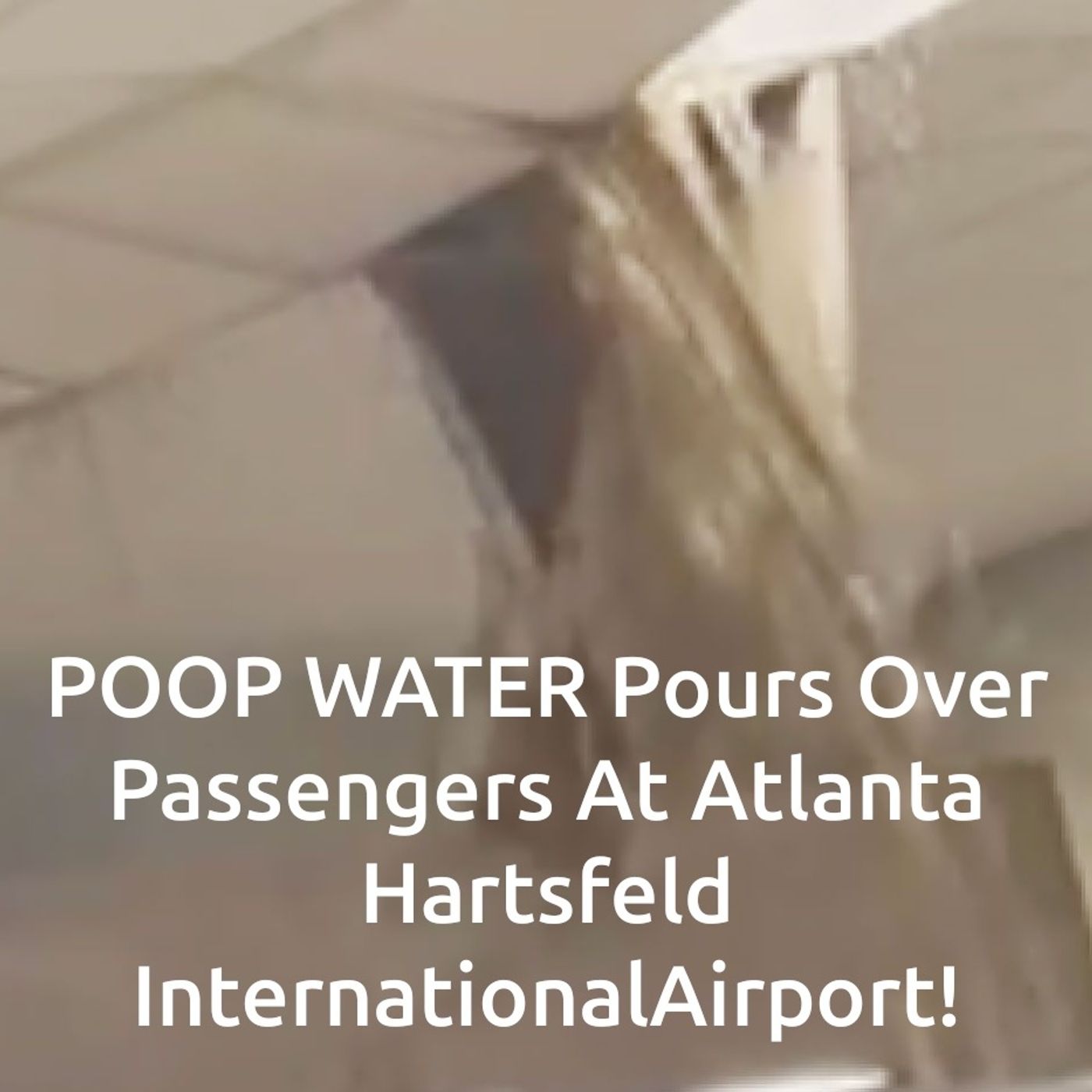 Poopy Plane Passengers; 3 Wives In 3 Counties; and Radoactive Wasps