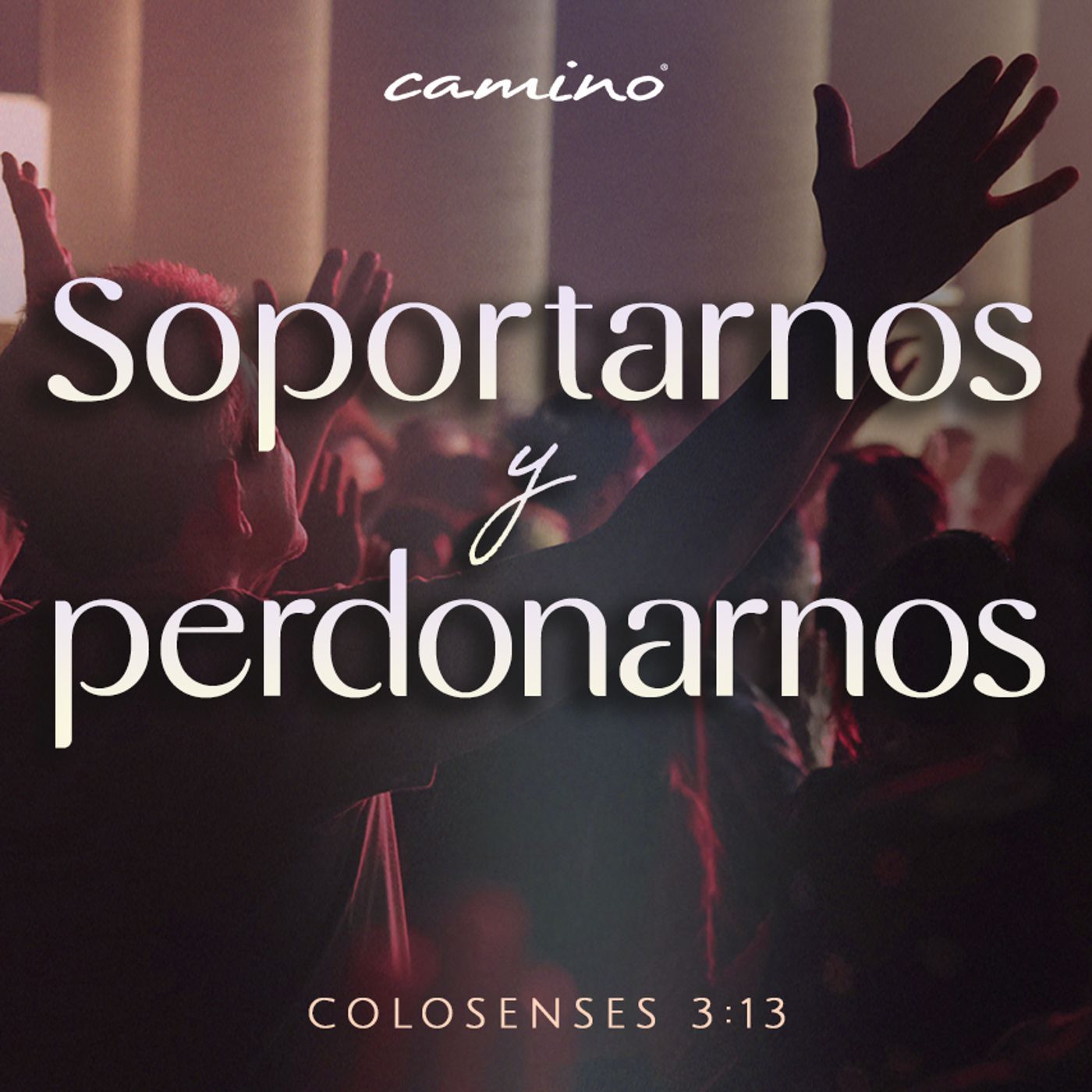 Oración 9 de enero (Soportarnos y perdonarnos) episode artwork