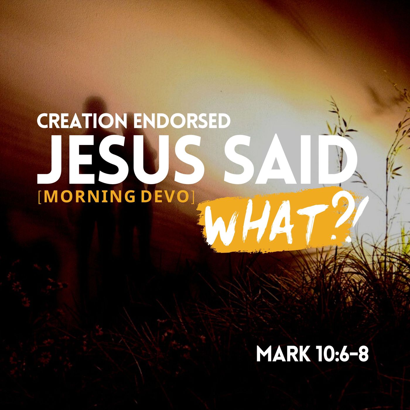 Jesus said what?! #6 [Morning Devo] episode artwork