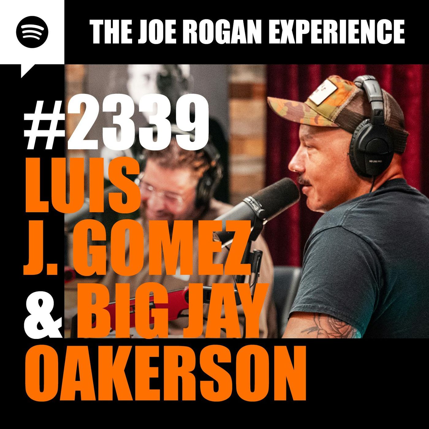 The Joe Rogan Experience