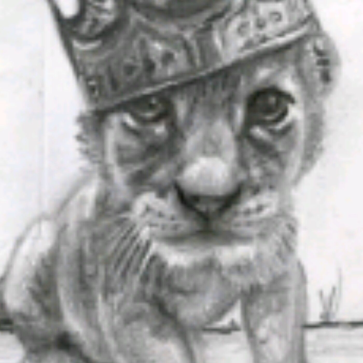 1968 Ras Tafari/ Everyday@5pm to 9pm