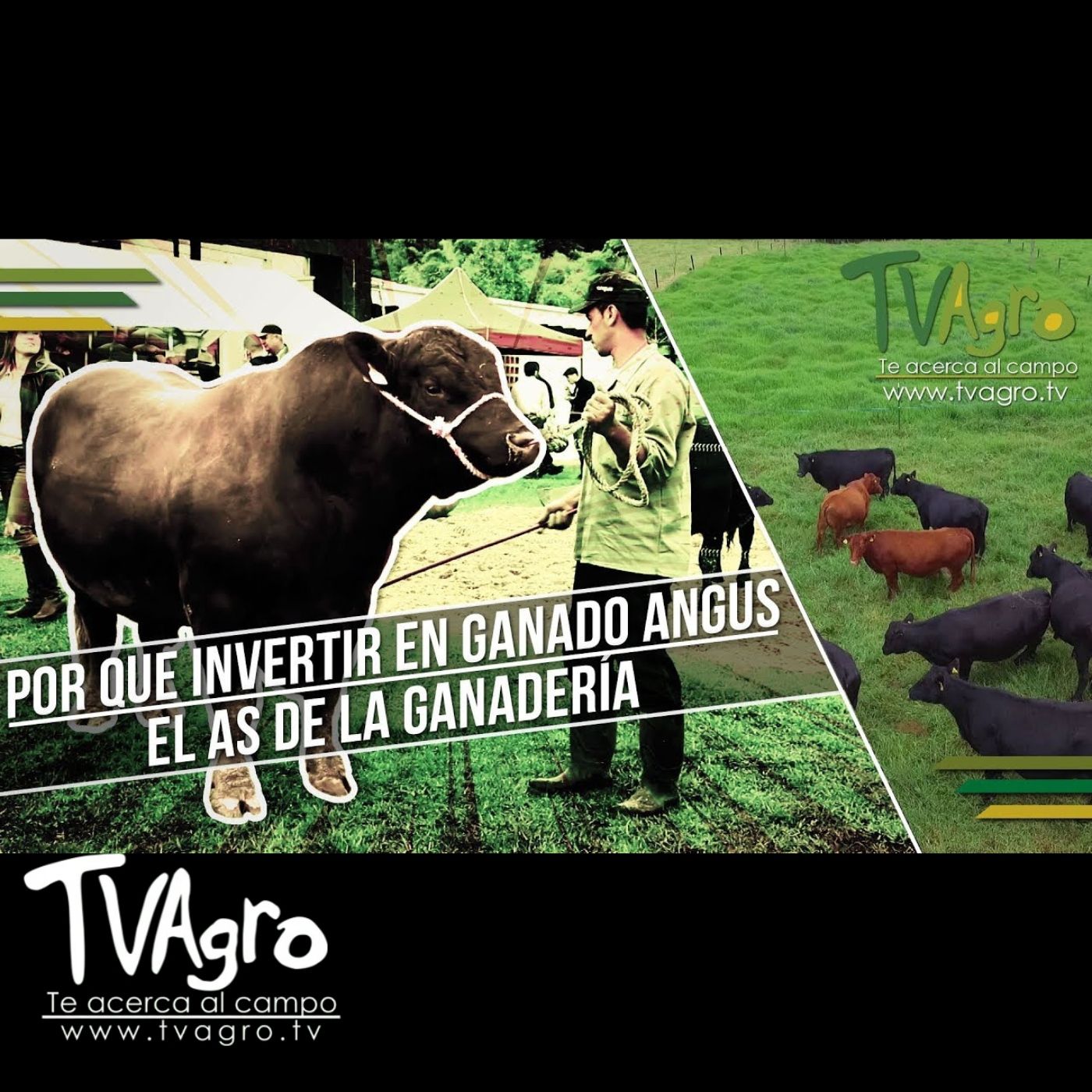 TV AGRO