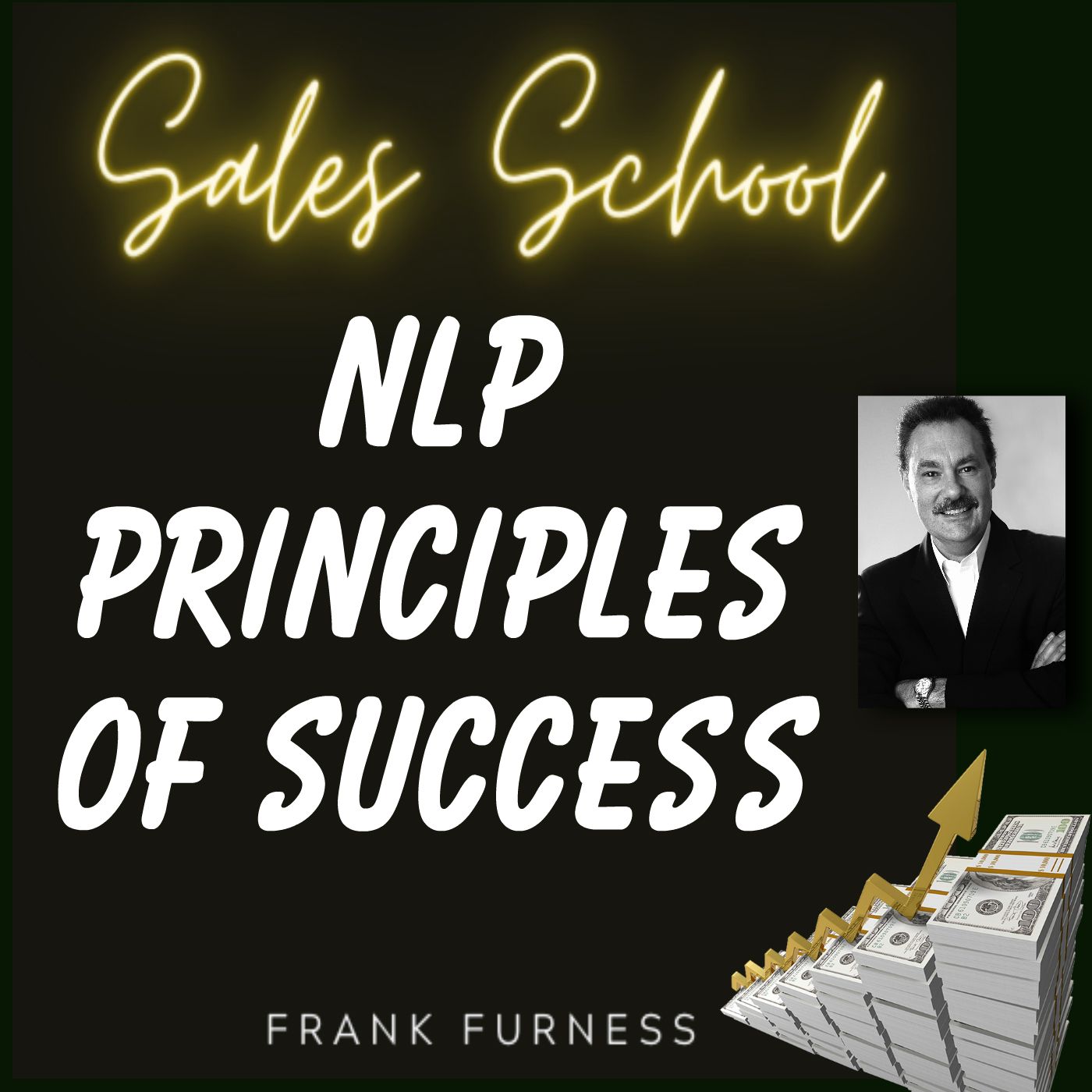 NLP Principles of Success NLP Principles of Success