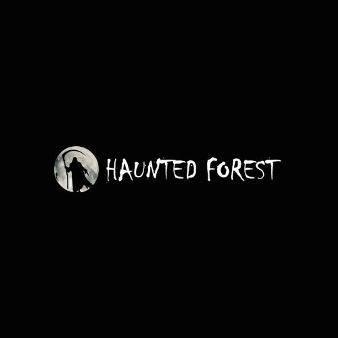 Haunted Forest CA