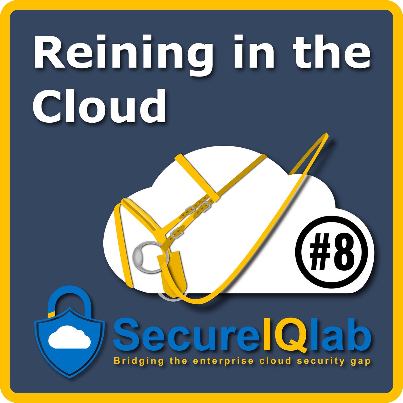 Reining in the Cloud