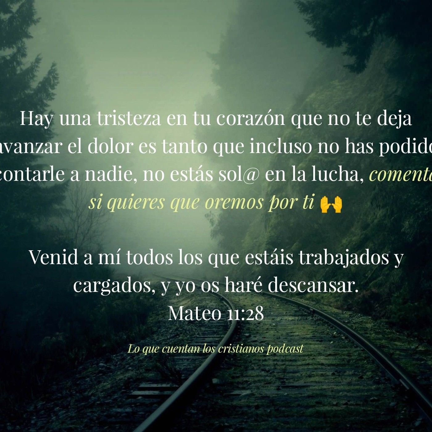 Reflexión breve la falta de perdón cover art