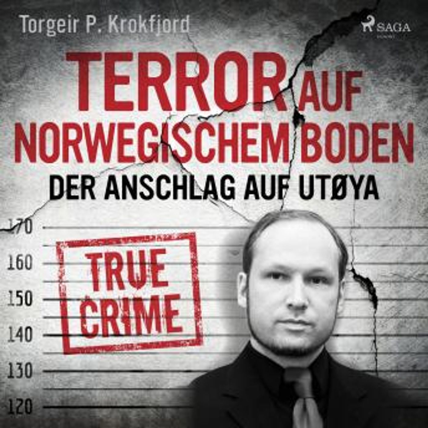 [German] - Terror auf norwegischem Boden: Der Anschlag auf Utøya by Torgeir P. Krokfjord episode artwork