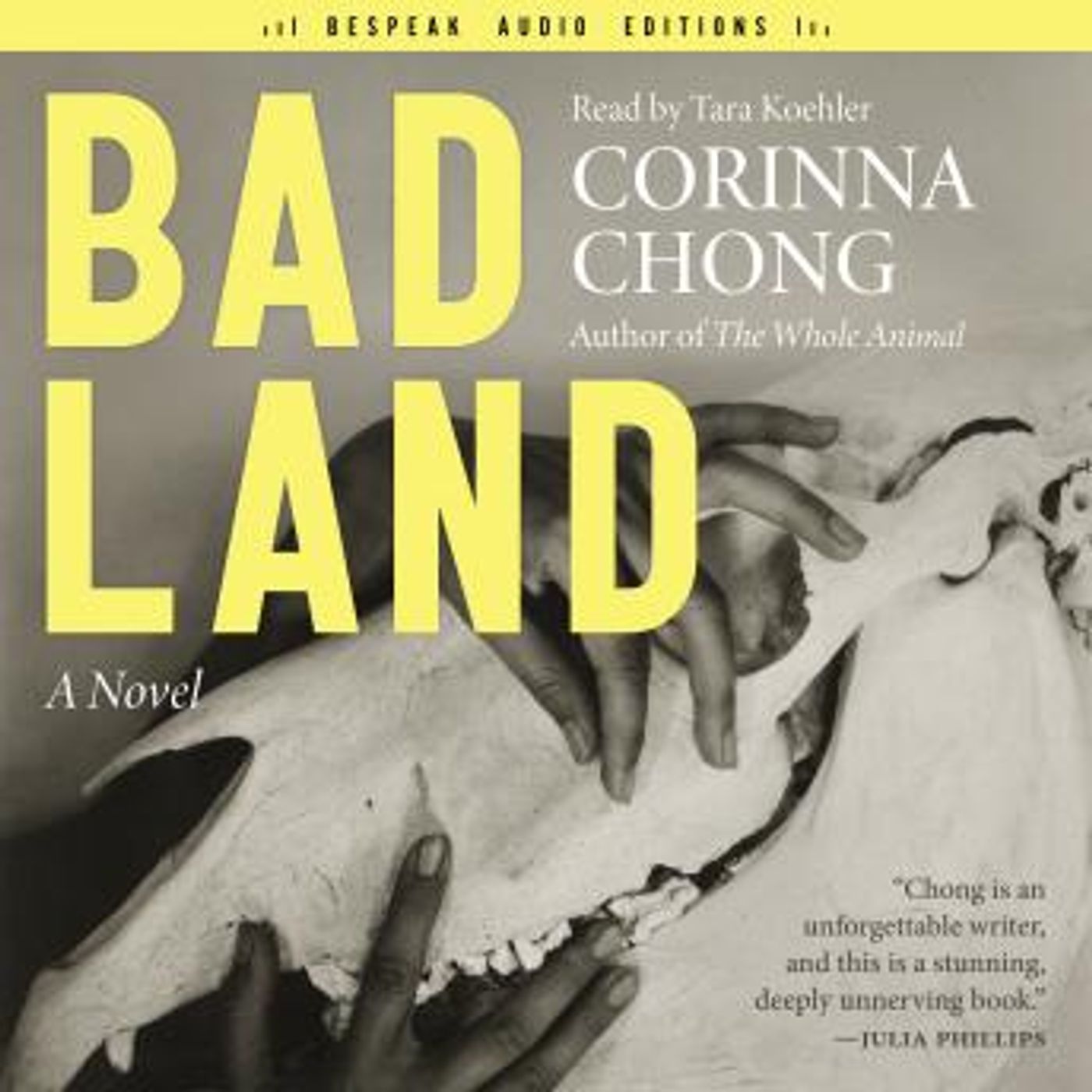 Listen to Best Full Audiobooks in Fiction, Contemporary Women