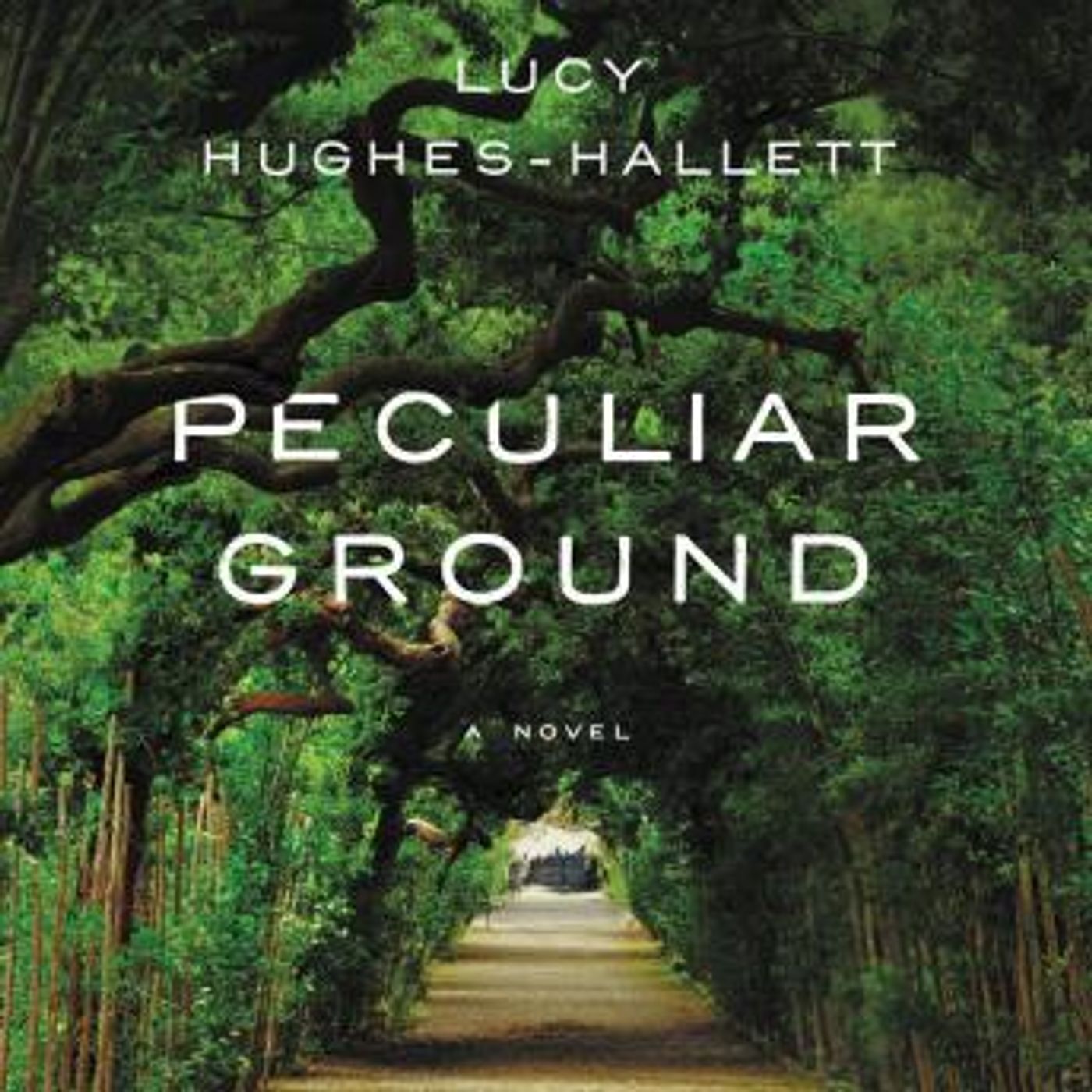 Download Incredible Full Audiobooks in Fiction, Contemporary Women