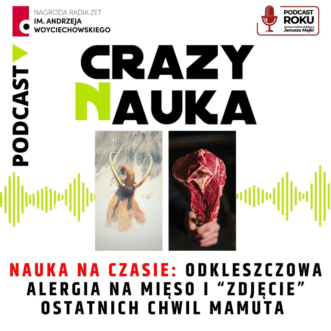 141. Nauka na czasie: Odkleszczowa alergia na mięso i “zdjęcie” ostatnich chwil mamuta 141. Nauka na czasie: Odkleszczowa alergia na mięso i “zdjęcie” ostatnich chwil mamuta