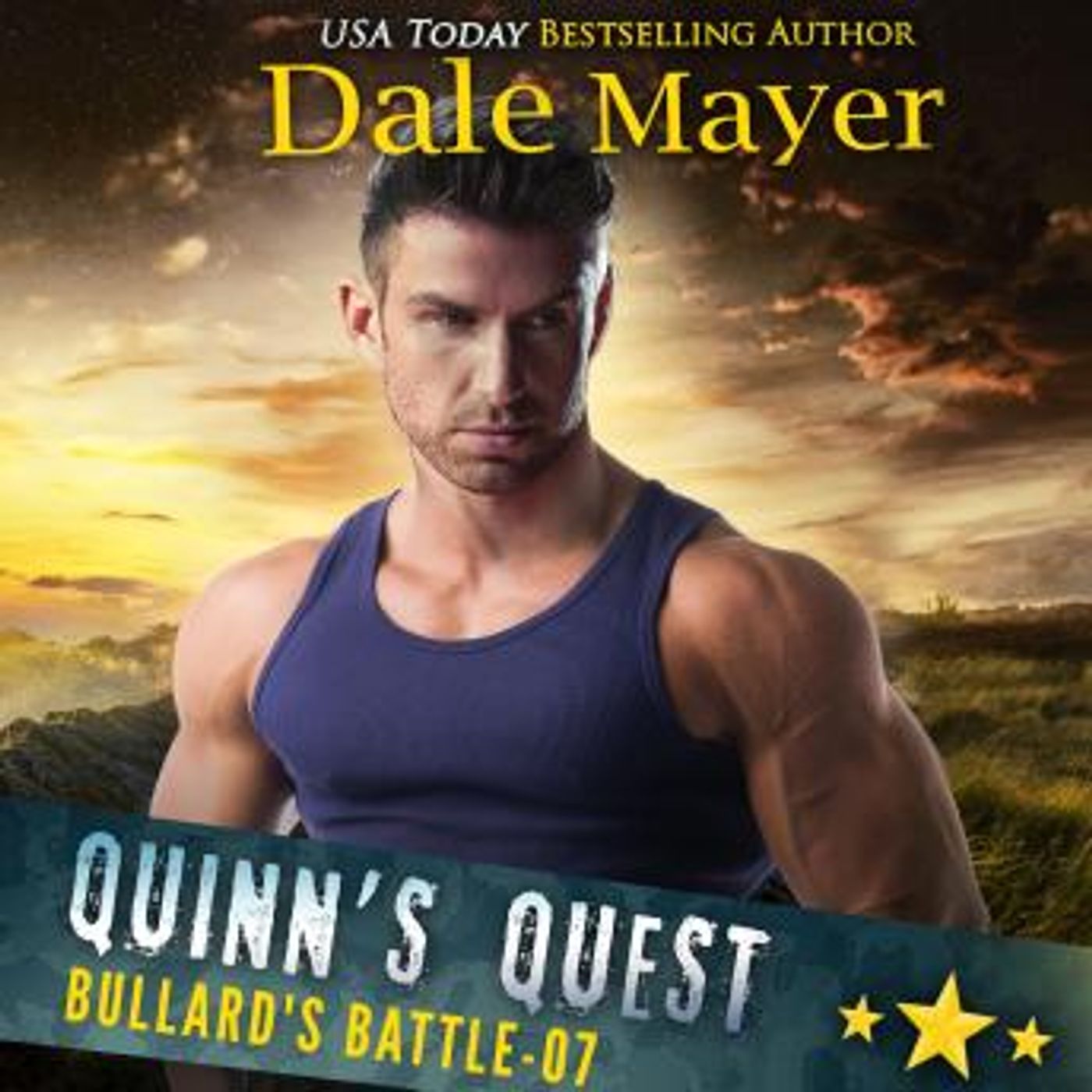 Quinn's Quest by Dale Mayer episode artwork