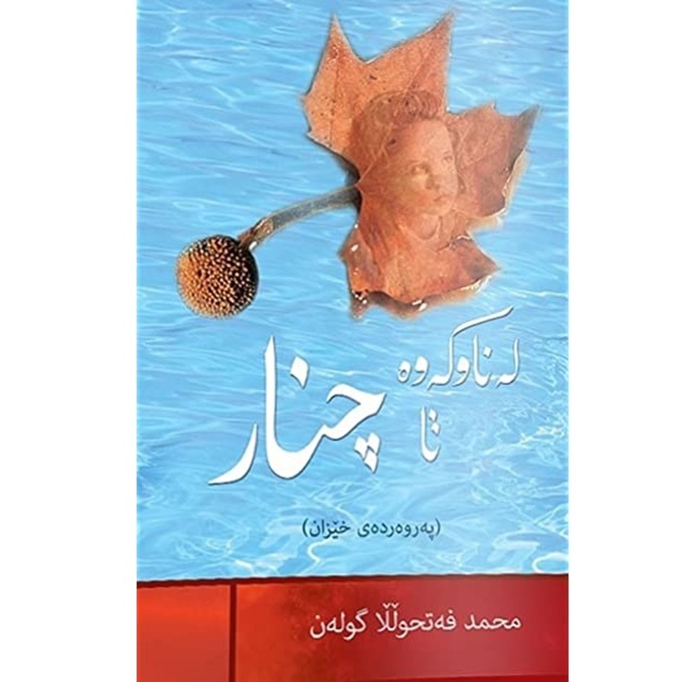 20 LA NAWKAWA TA CHNAR PILE BENDI LE PERWERDEDA