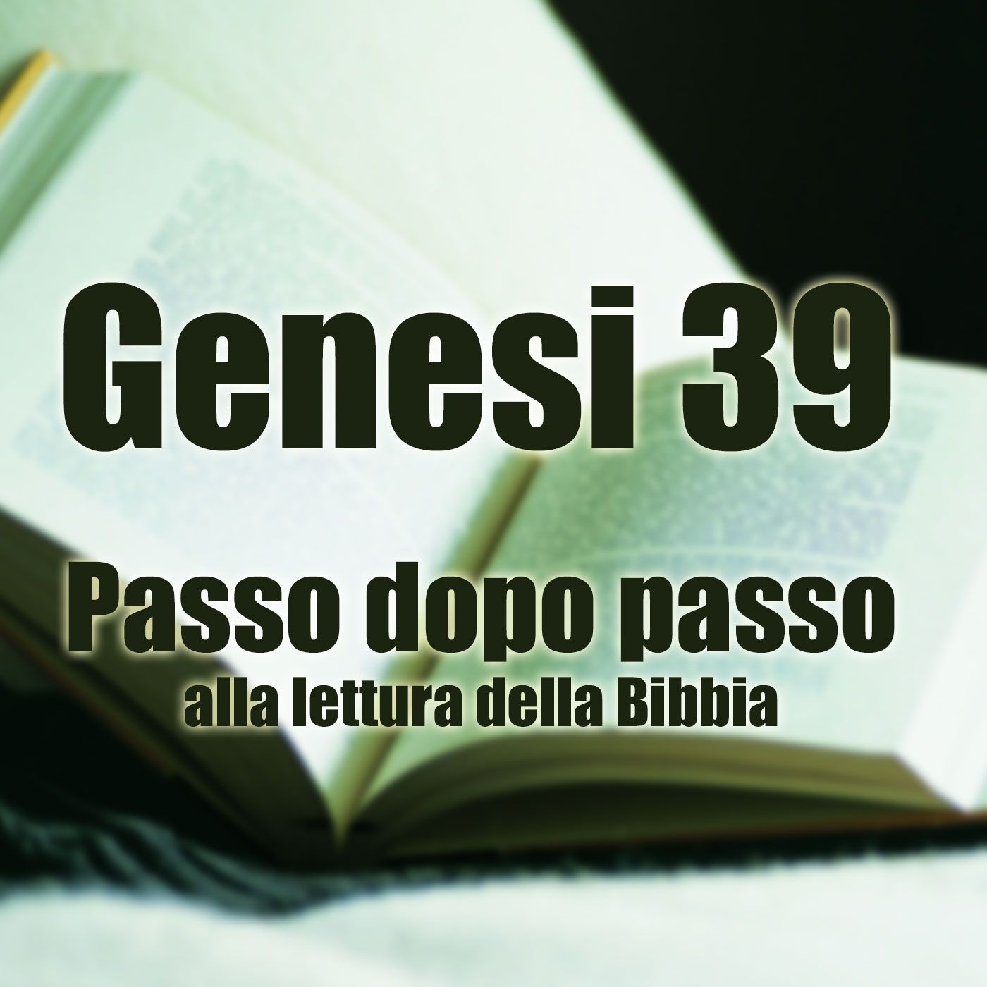 Passo dopo passo alla lettura della Bibbia