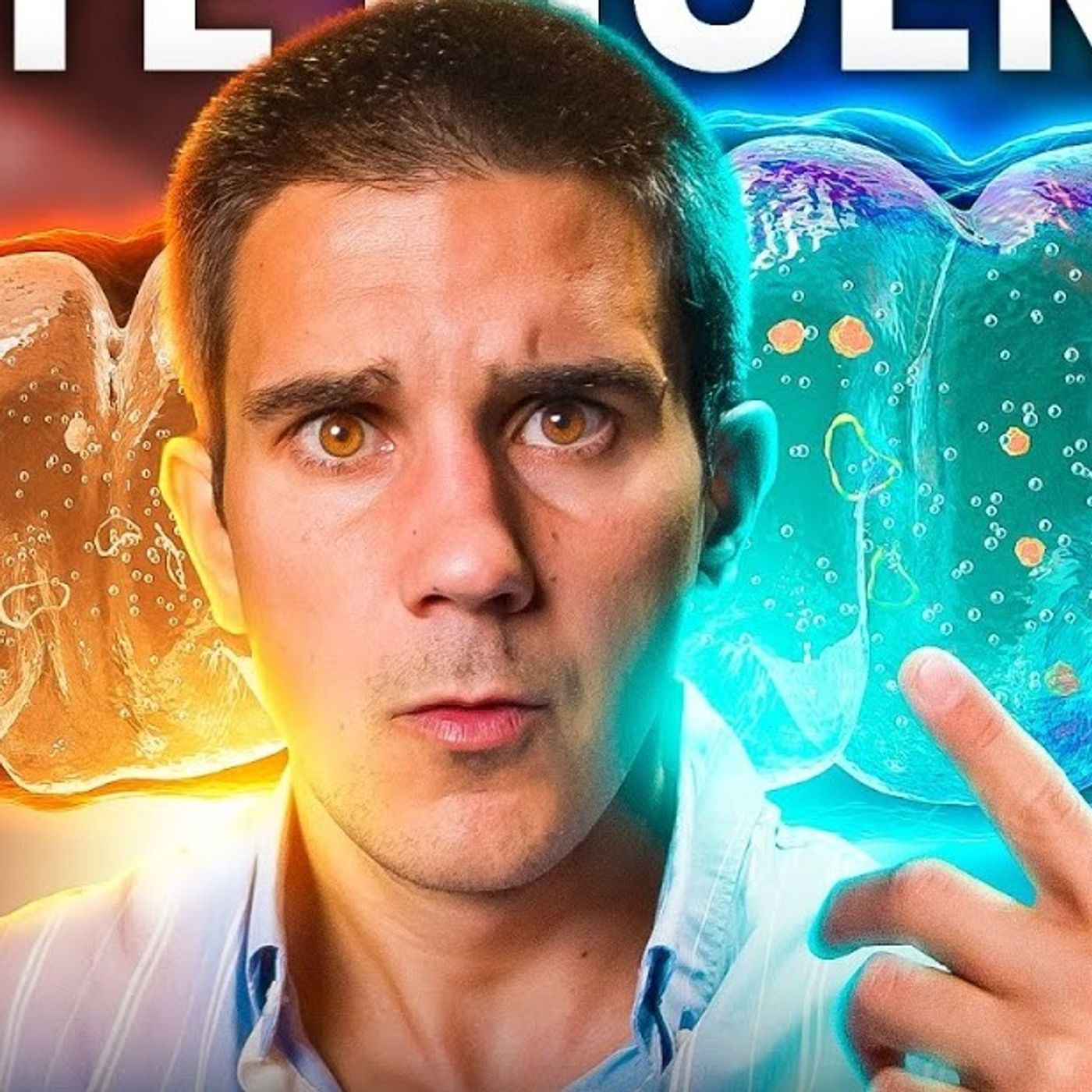 ¡SUPER MITOCONDRIAS!⚡La RECETA para SER VIEJOVEN