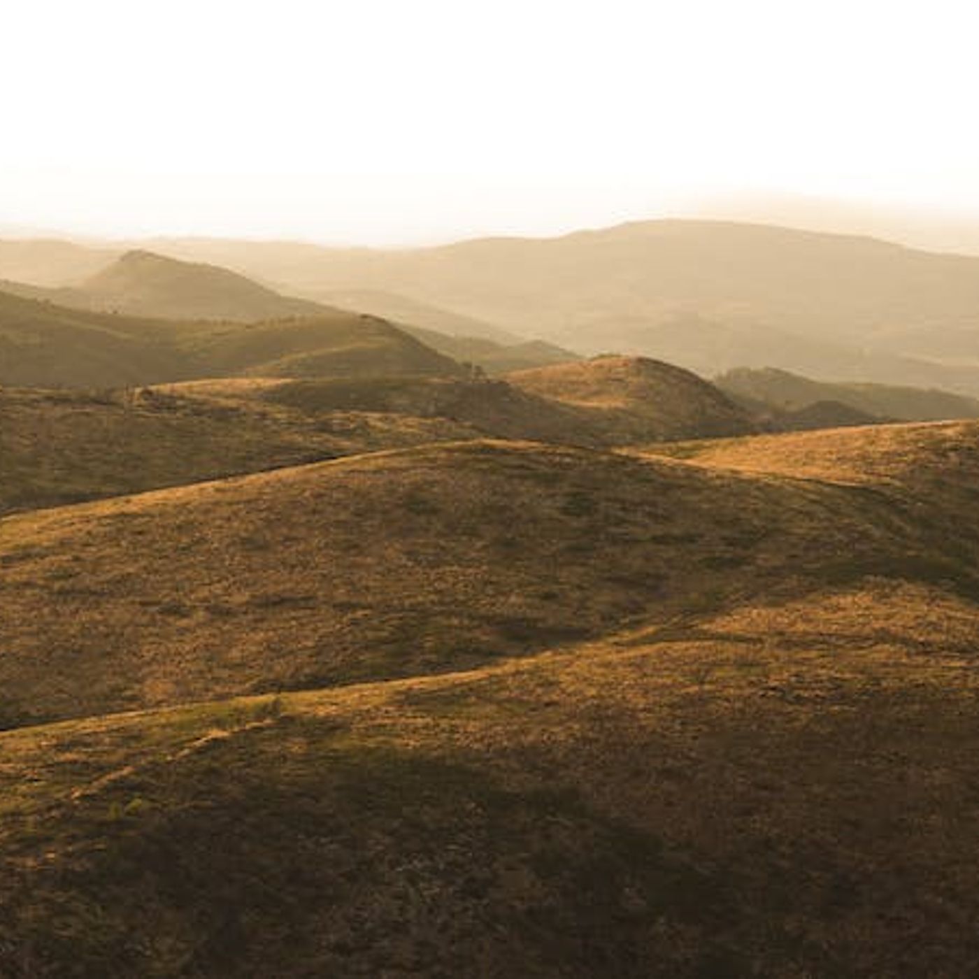 Why Did Demons Ask Jesus for Pigs?