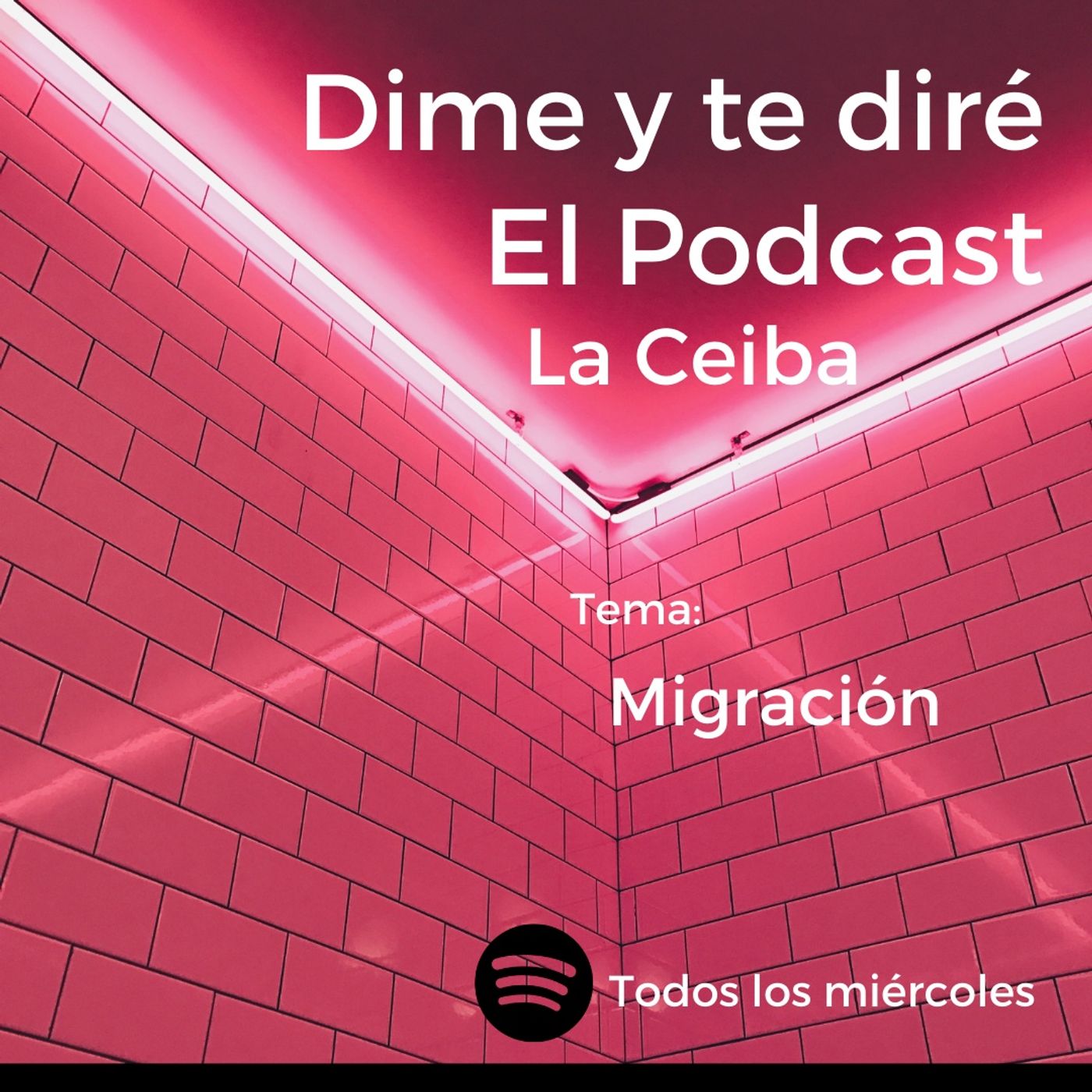Dime y te diré