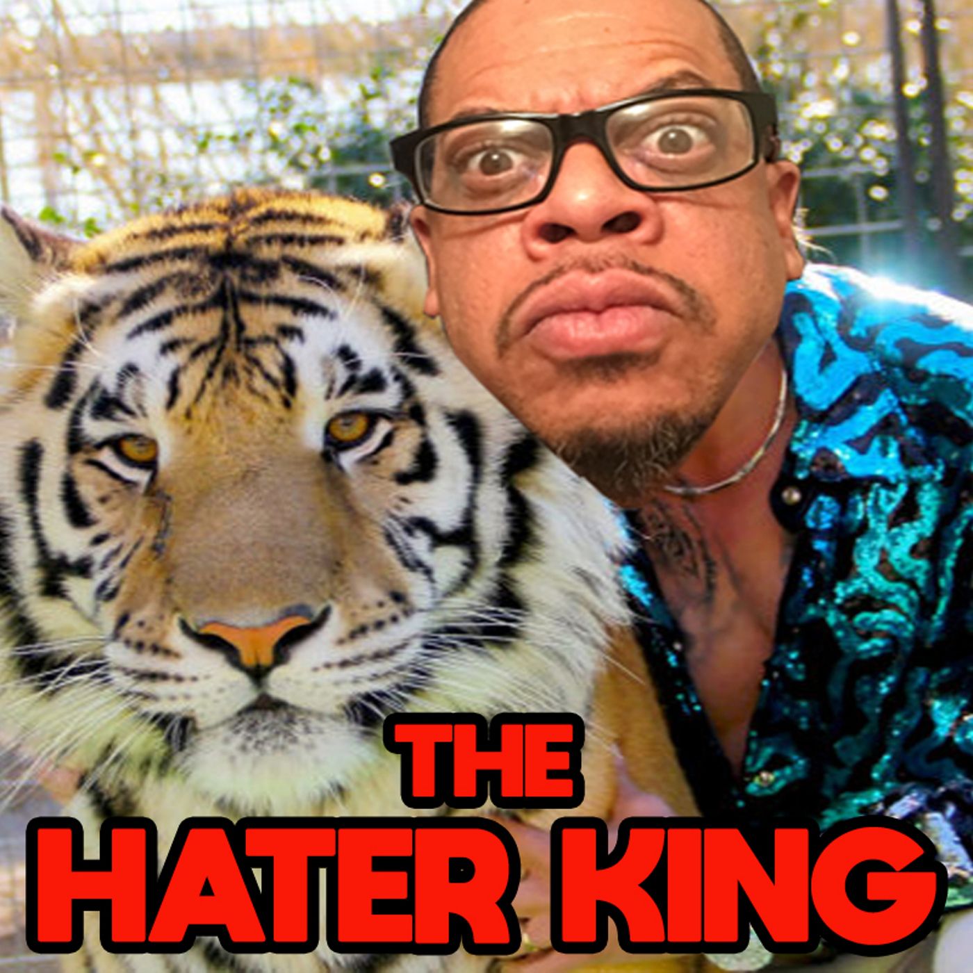 The Hater King