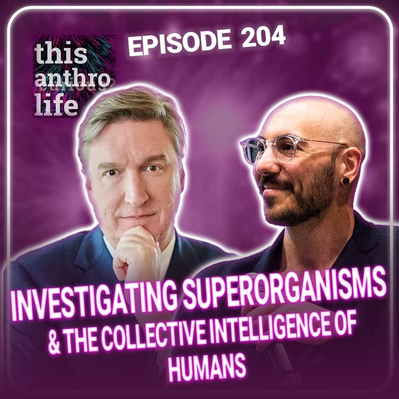 Investigating Superorganisms and The Collective Intelligence of Humans