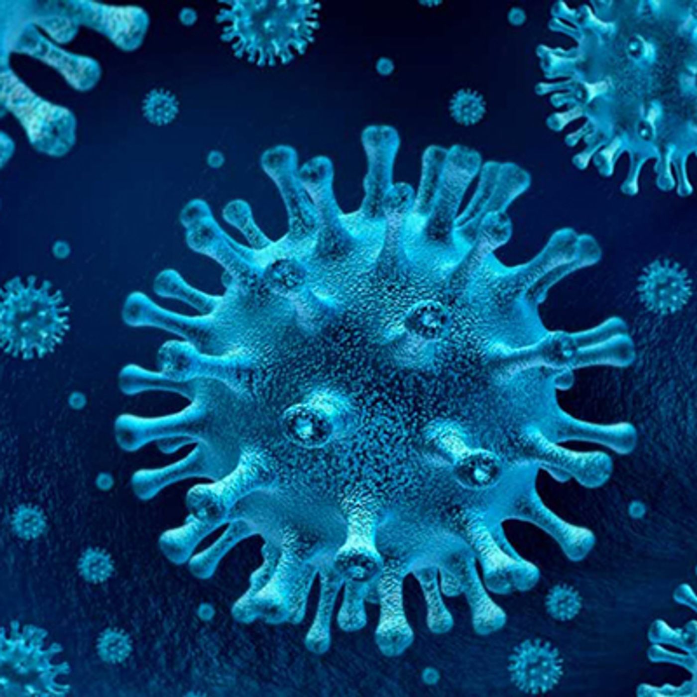 Entrevista Macroeconomia