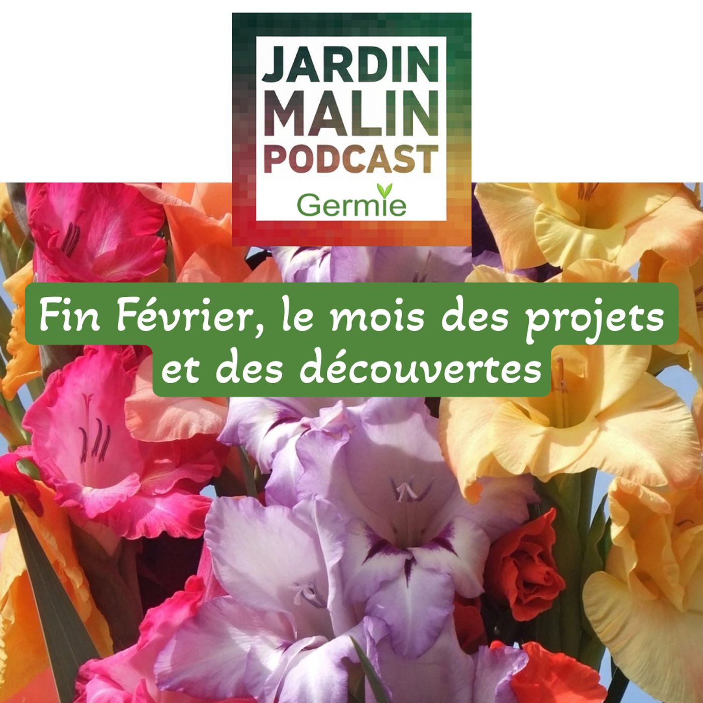 JARDIN MALIN by Germie