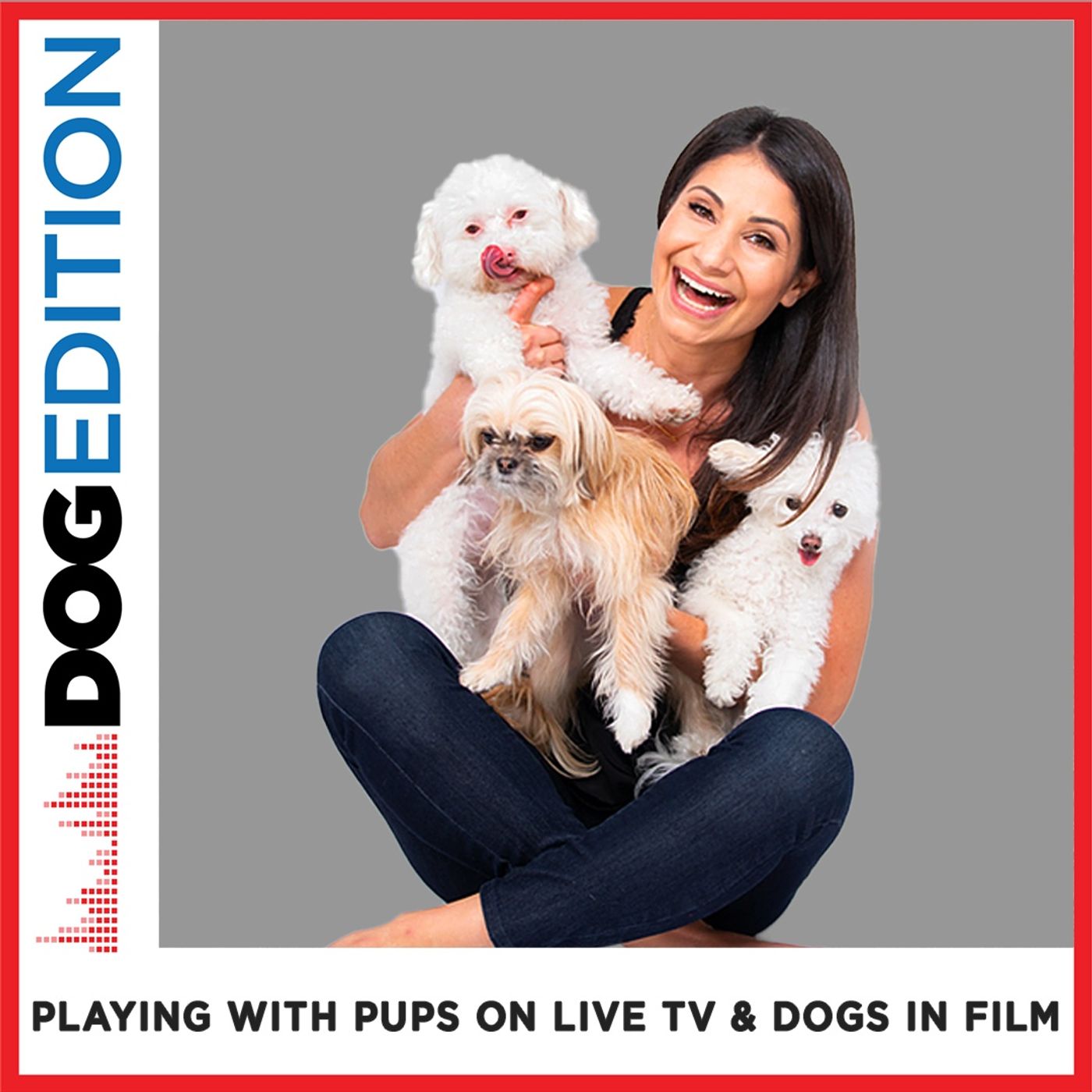 Dog Edition