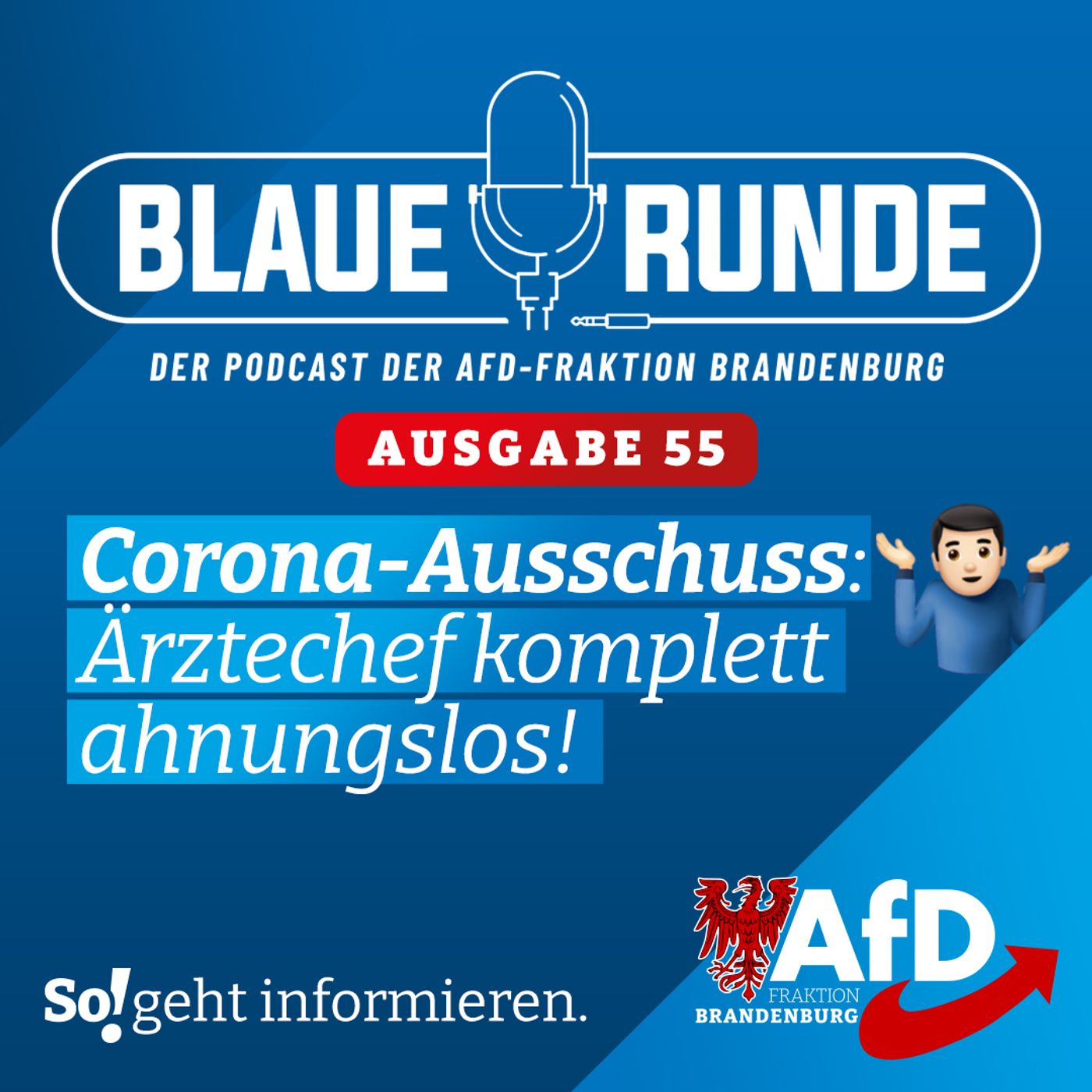 Corona-Ausschuss: Ärztechef komplett ahnungslos! | Die Blaue Runde, Ausgabe 55/23 vom 07. Juni 2023 episode artwork