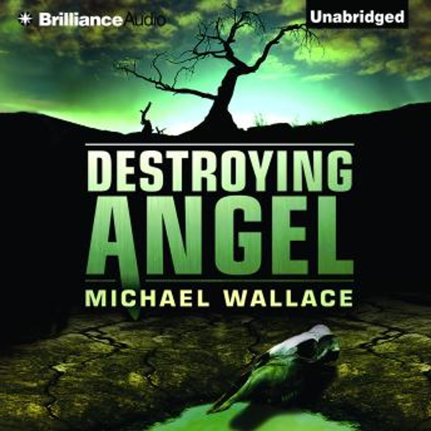 Destroying Angel by Michael Wallace episode artwork