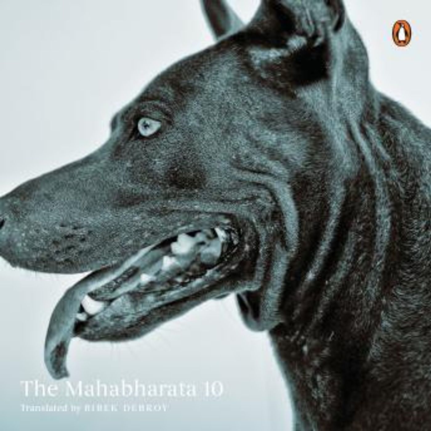 Grab the Essential Full Audiobooks in Non-Fiction, Social Science