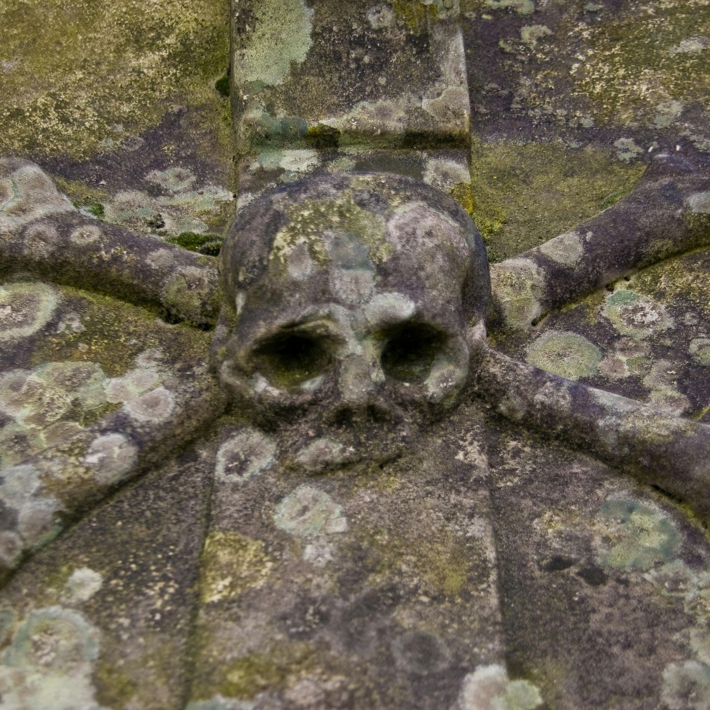 #205 - Burial Practice Makes Perfect
