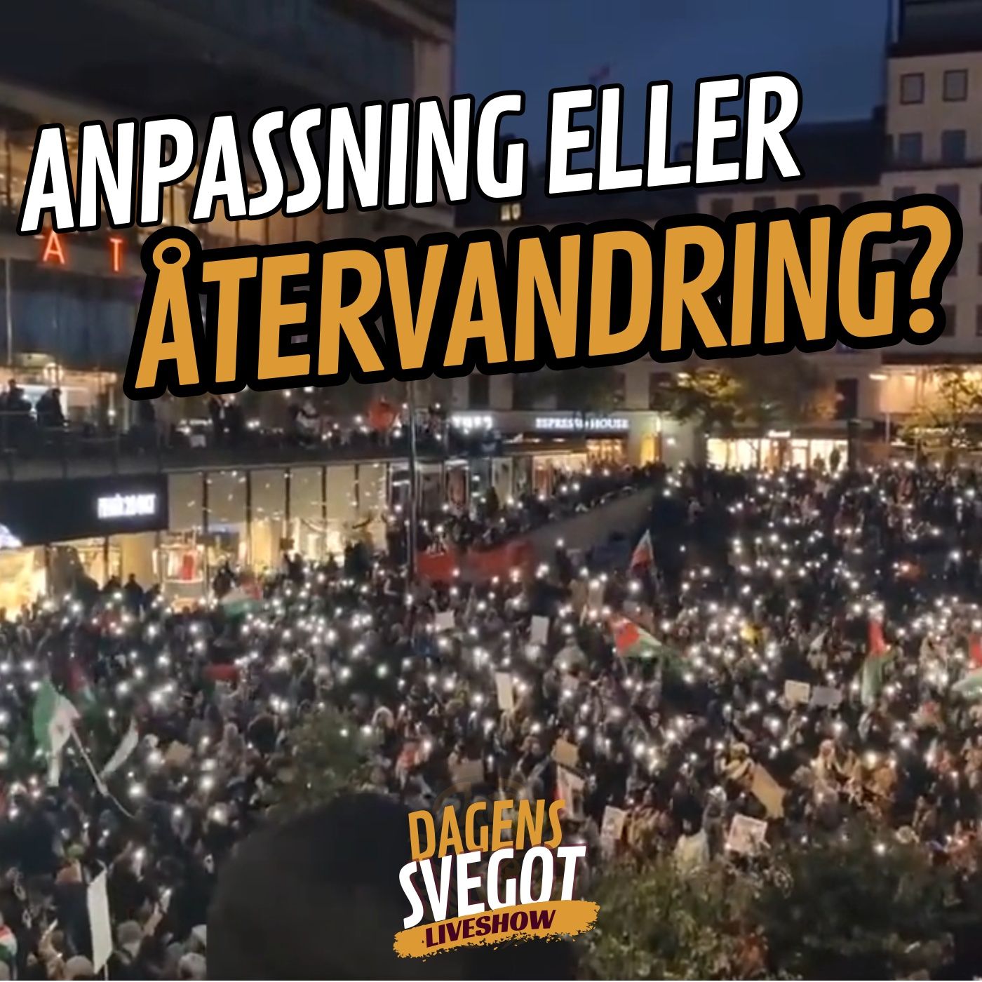 Europas vägskäl: Anpassning eller återvandring? episode artwork