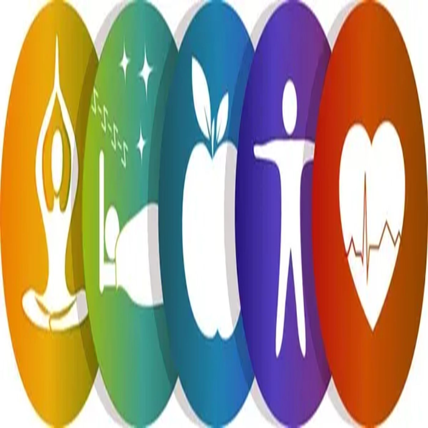 Holistic Wellness cover art