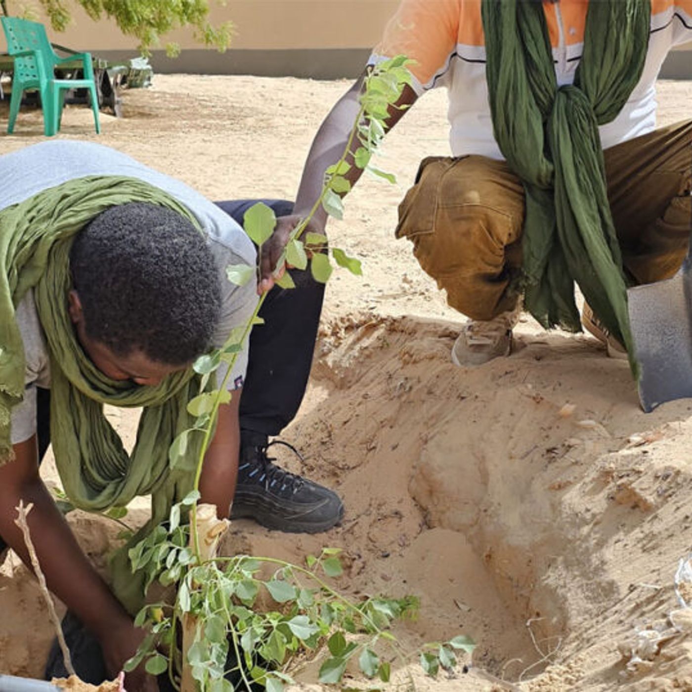 Plantation d’arbres, œufs de consommation et pratiques agricoles au cœur de l’émission episode artwork