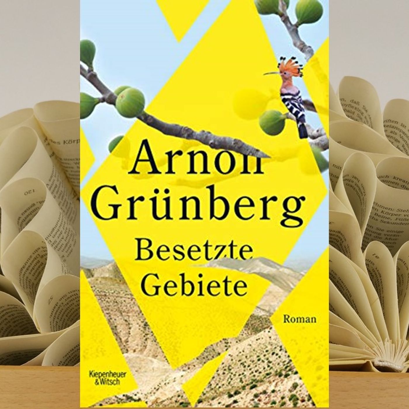 13.02. Arnon Grünberg - Besetzte Gebiete (Maike Niederhausen) episode artwork