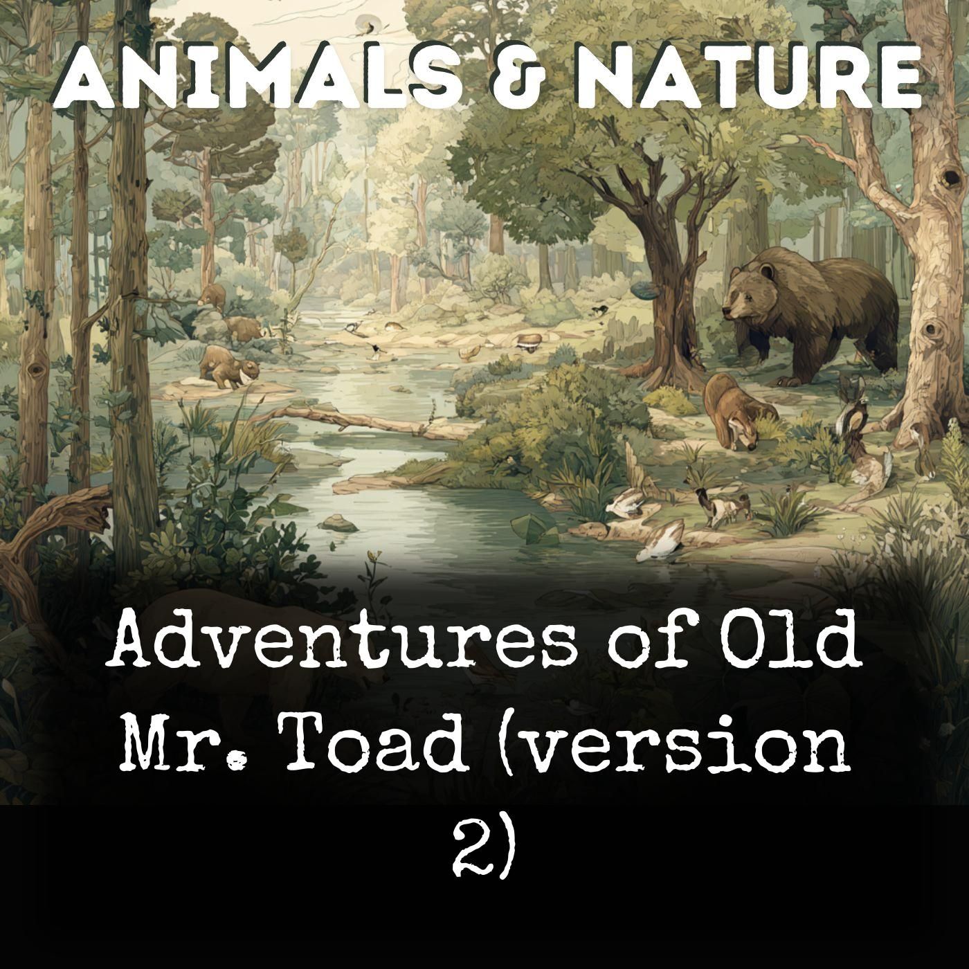 Adventures of Old Mr. Toad (version 2) podcast artwork