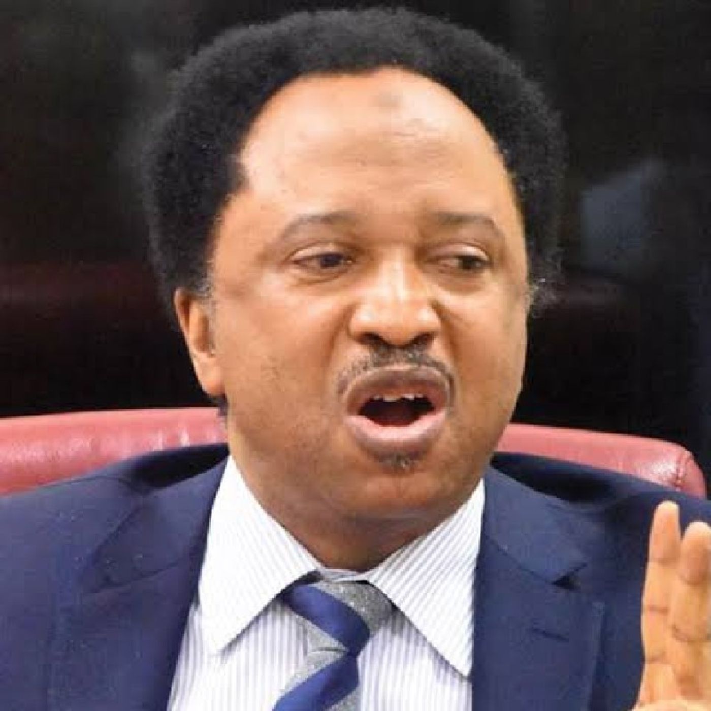 "WRONG MOVE!!" SEN.SANI TO TINUBU episode artwork