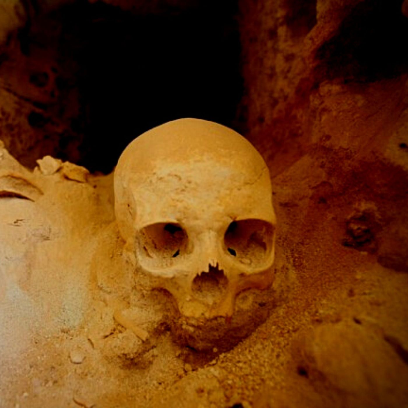 Profanadores De Tumbas Historias De Terror - REDE