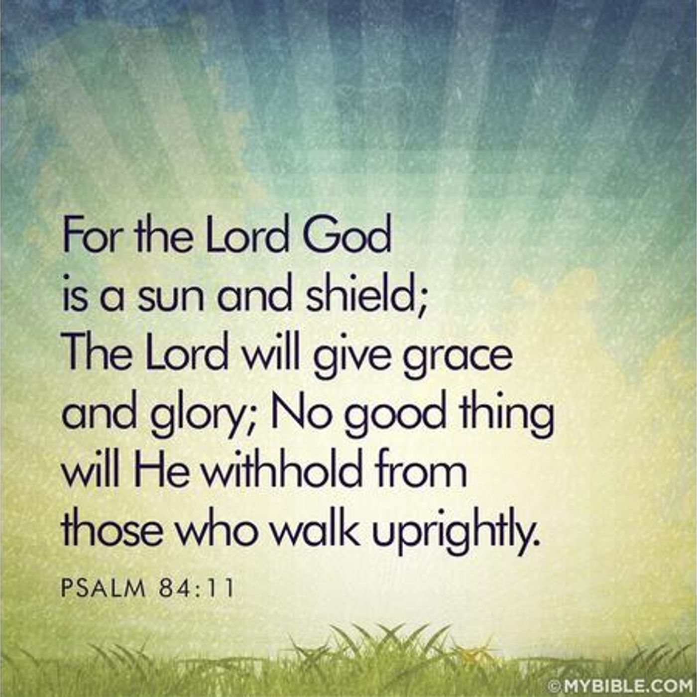 Divine Benefits For Those Who Walk Uprightly (Part 3) Psalm 84:11 - S2 [B291] episode artwork