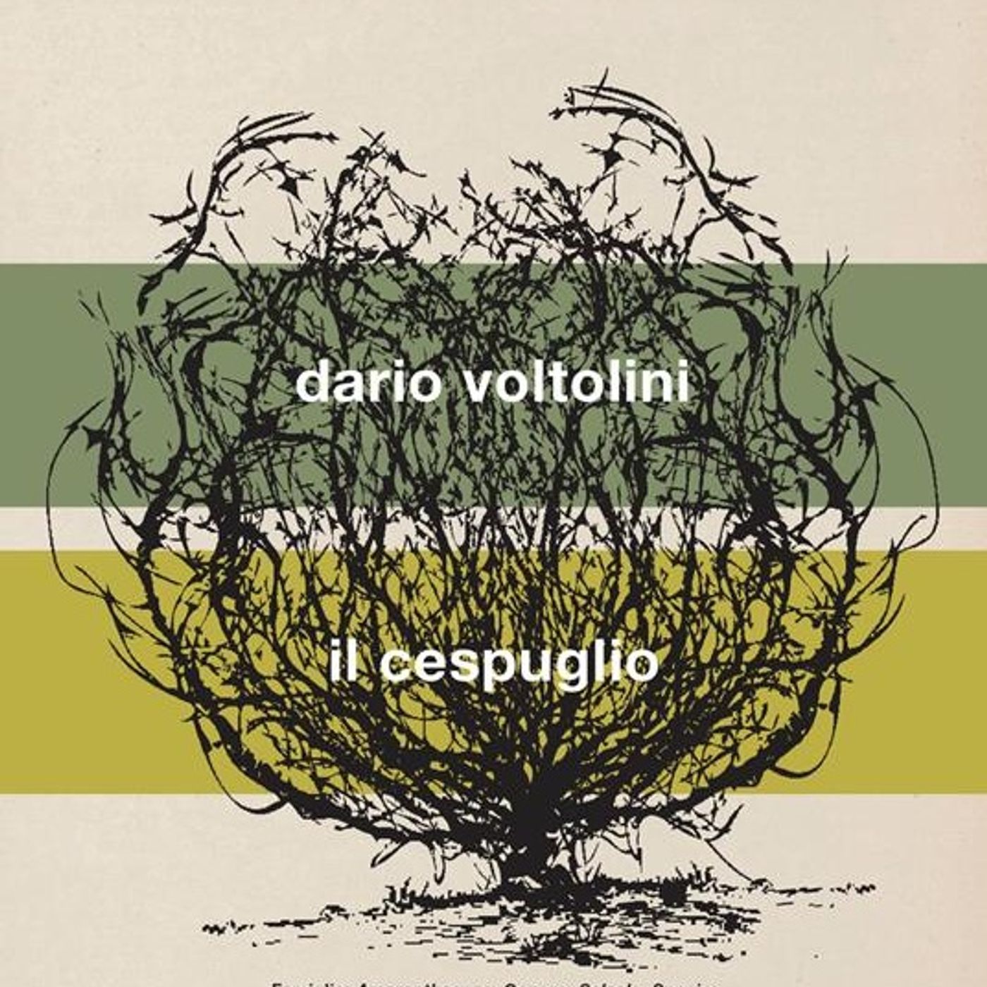 Dario Voltolini "Il cespuglio"