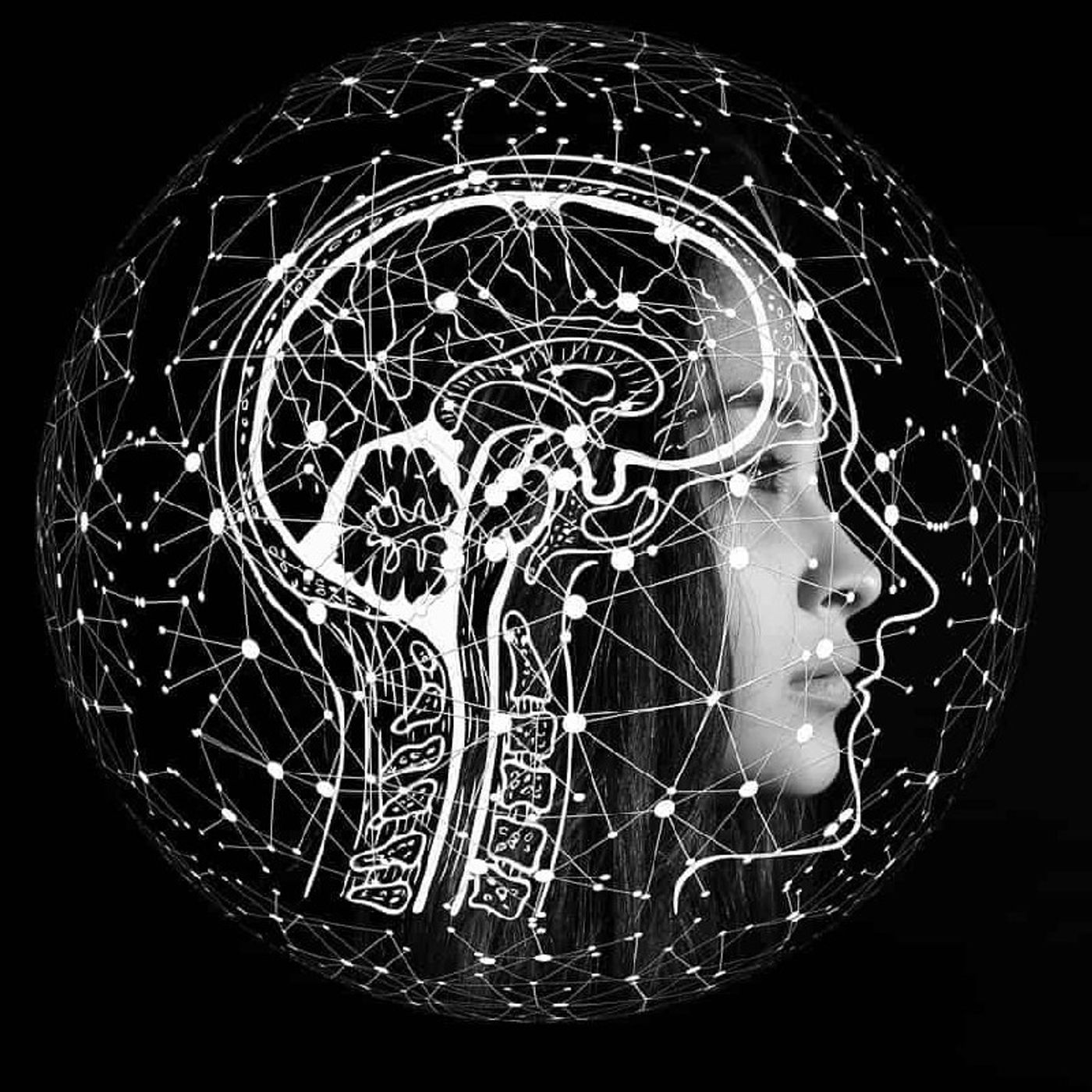 3er Episodio: La inteligencia y los procesos cognitivos en la práctica episode artwork
