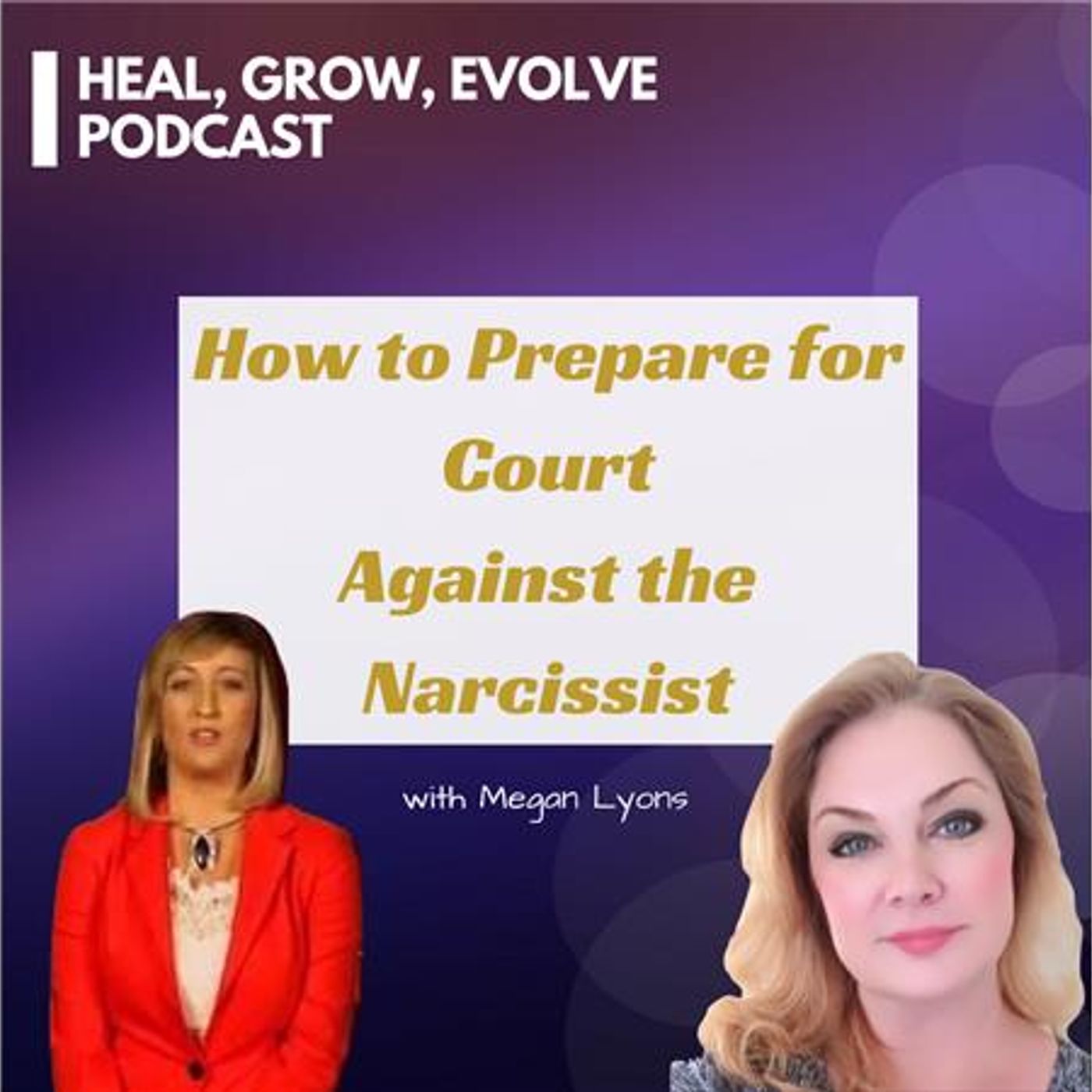 How to Prepare for Court Against the Narcissist - with attorney Megan Lyons