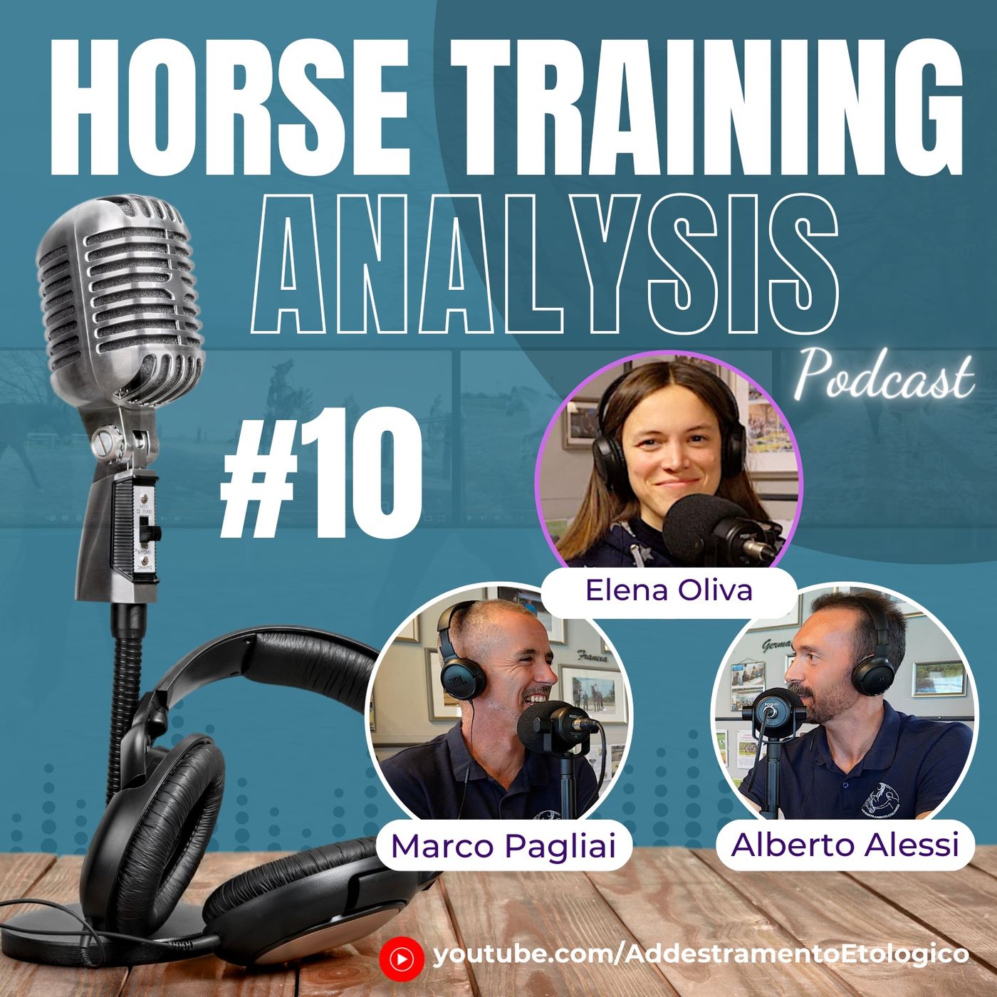 Horse Training Analysis